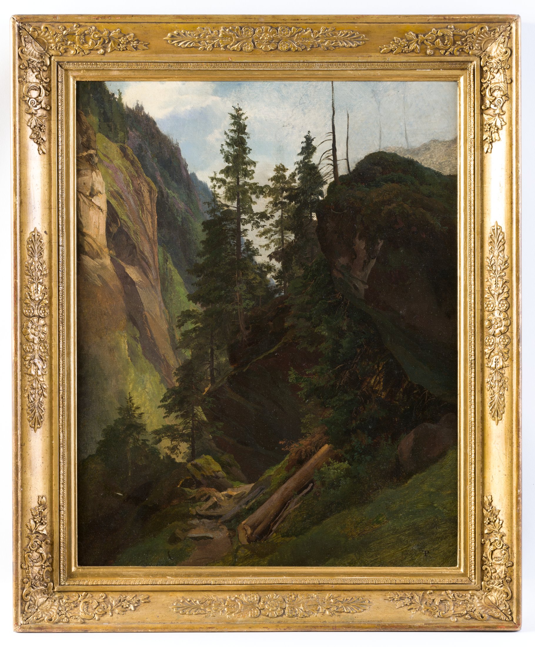 Gebirgslandschaft