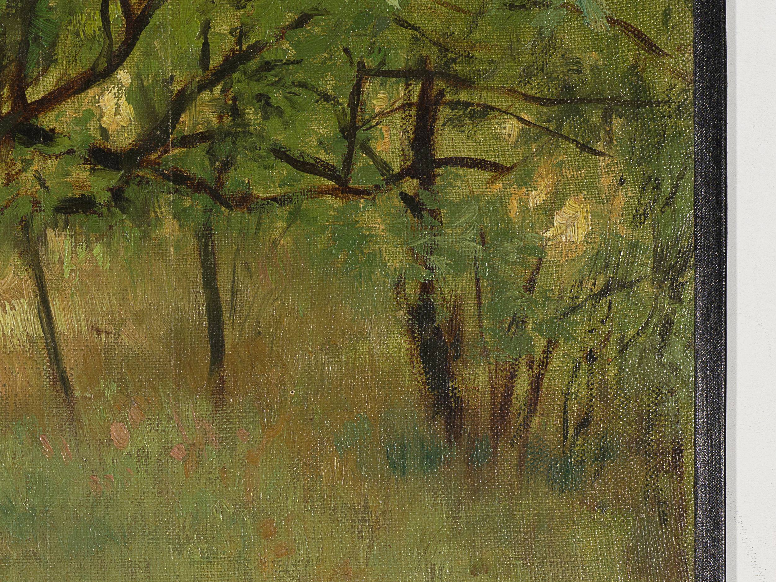 Waldlichtung im Sommer