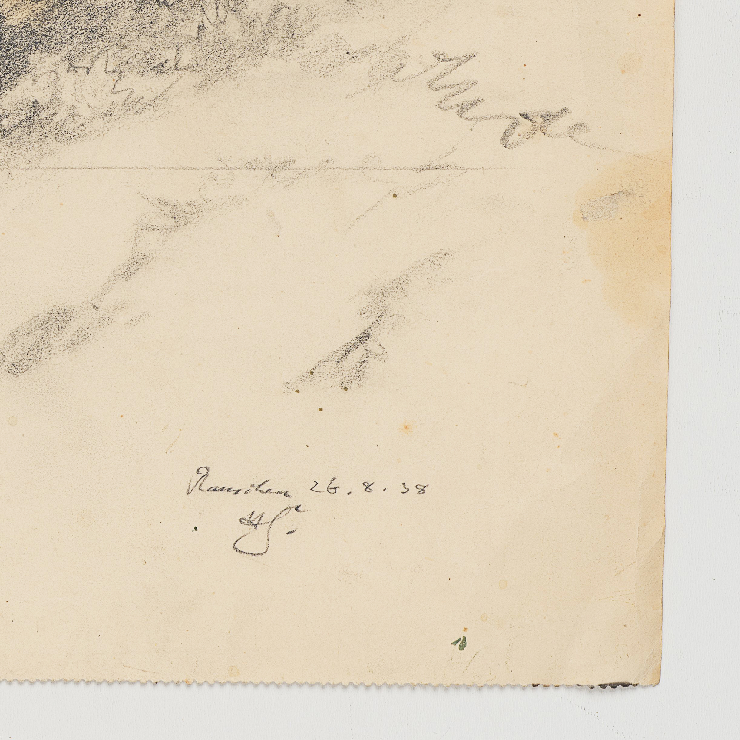 Studie bewachsener Dünen mit Blick auf Meer