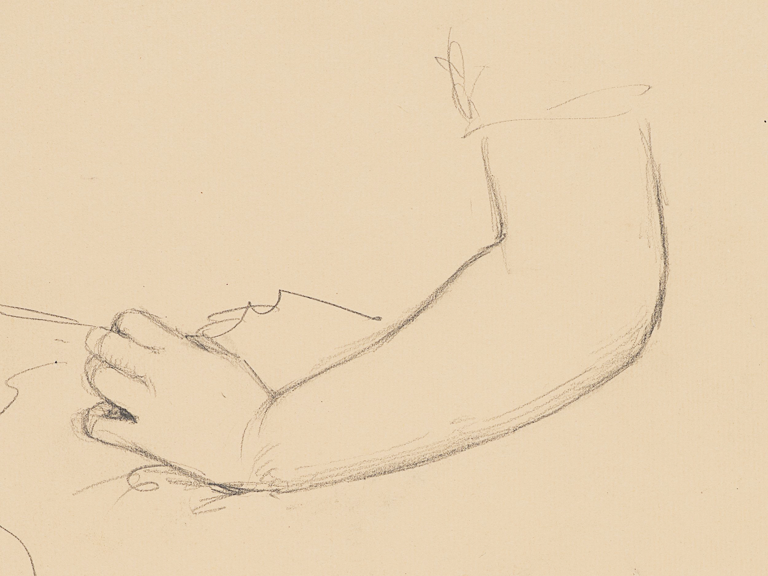 Zwei Handstudien, Arm und lockere Hand