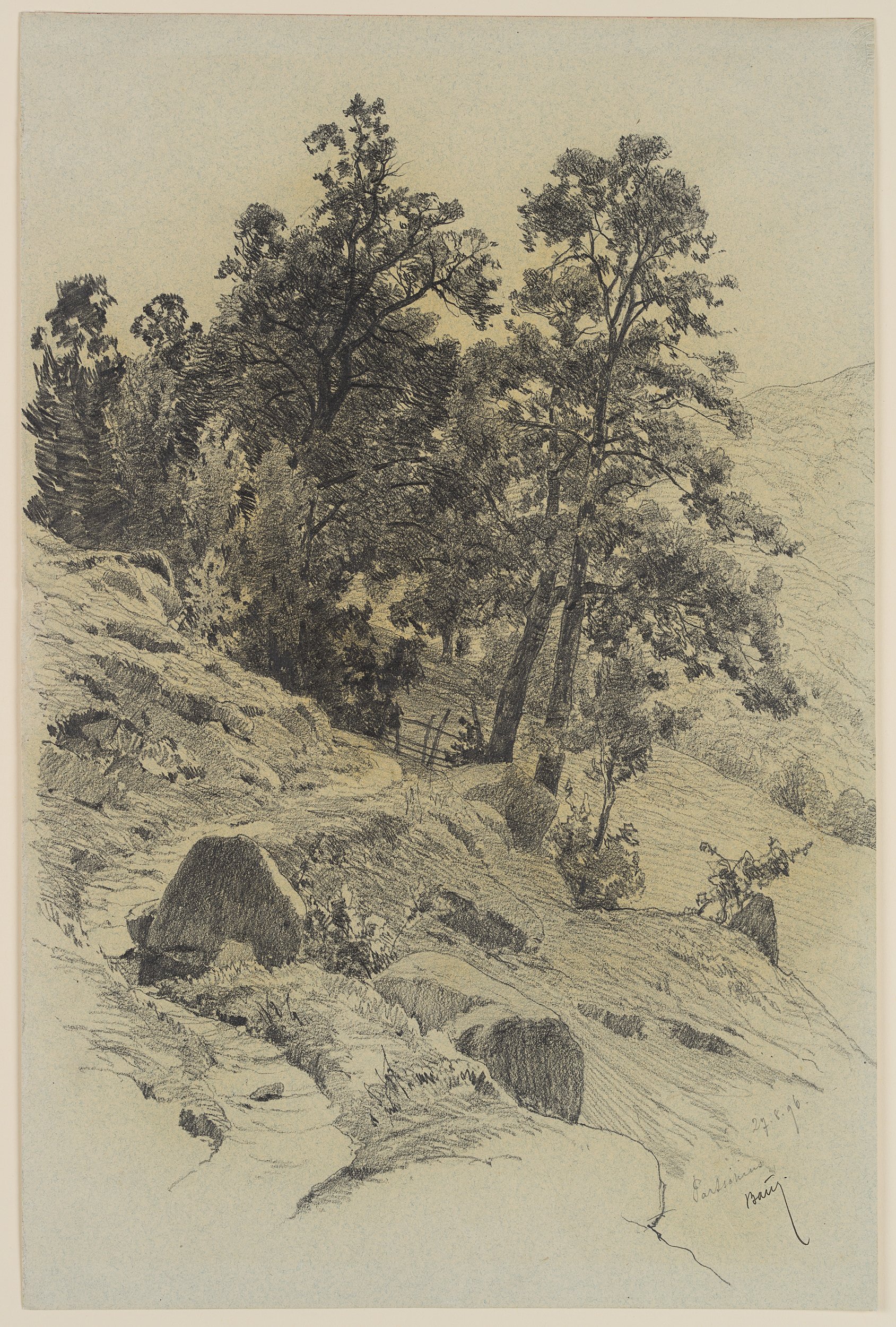 Hirtenpfad in Südtiroler Berglandschaft