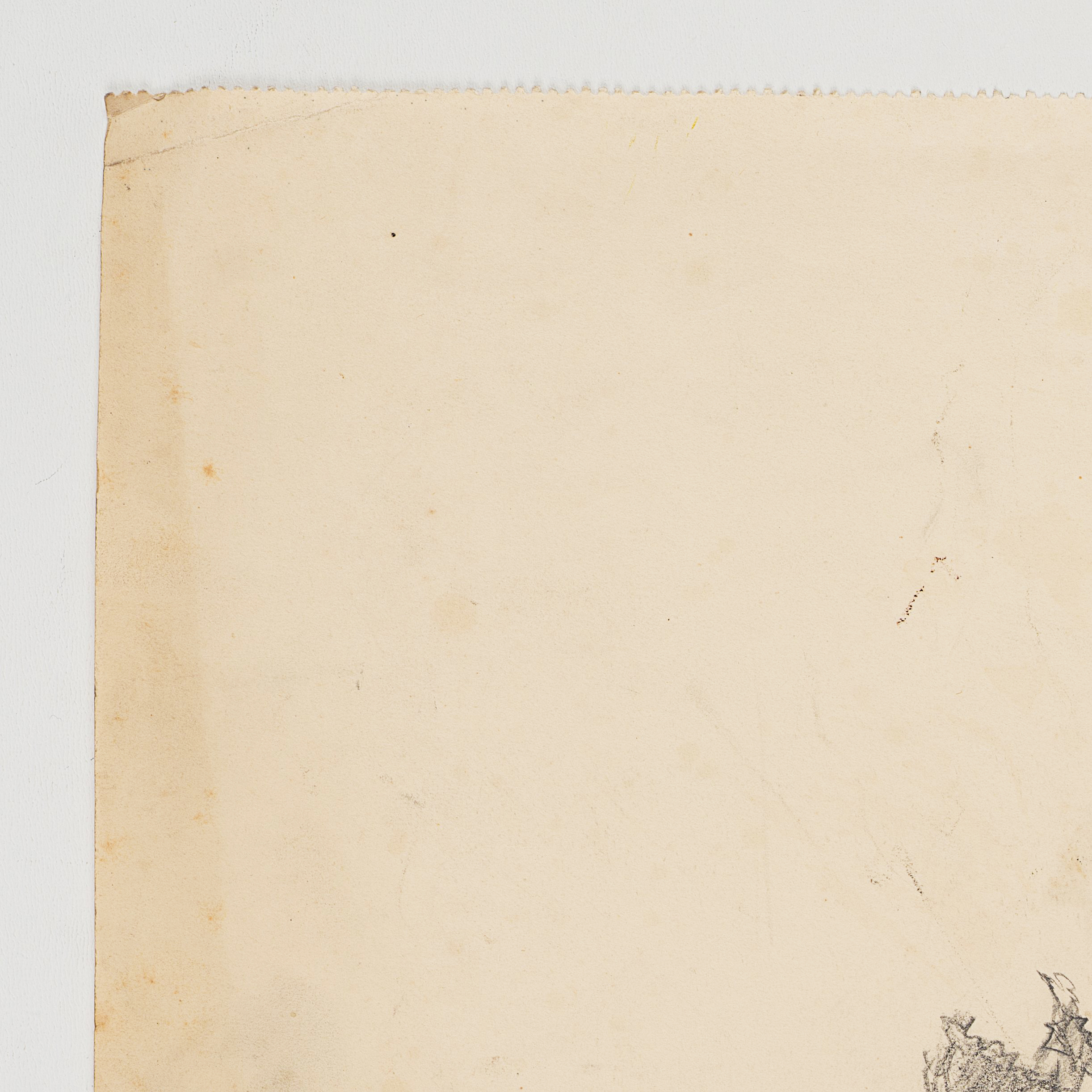 Studie bewachsener Dünen mit Blick auf Meer