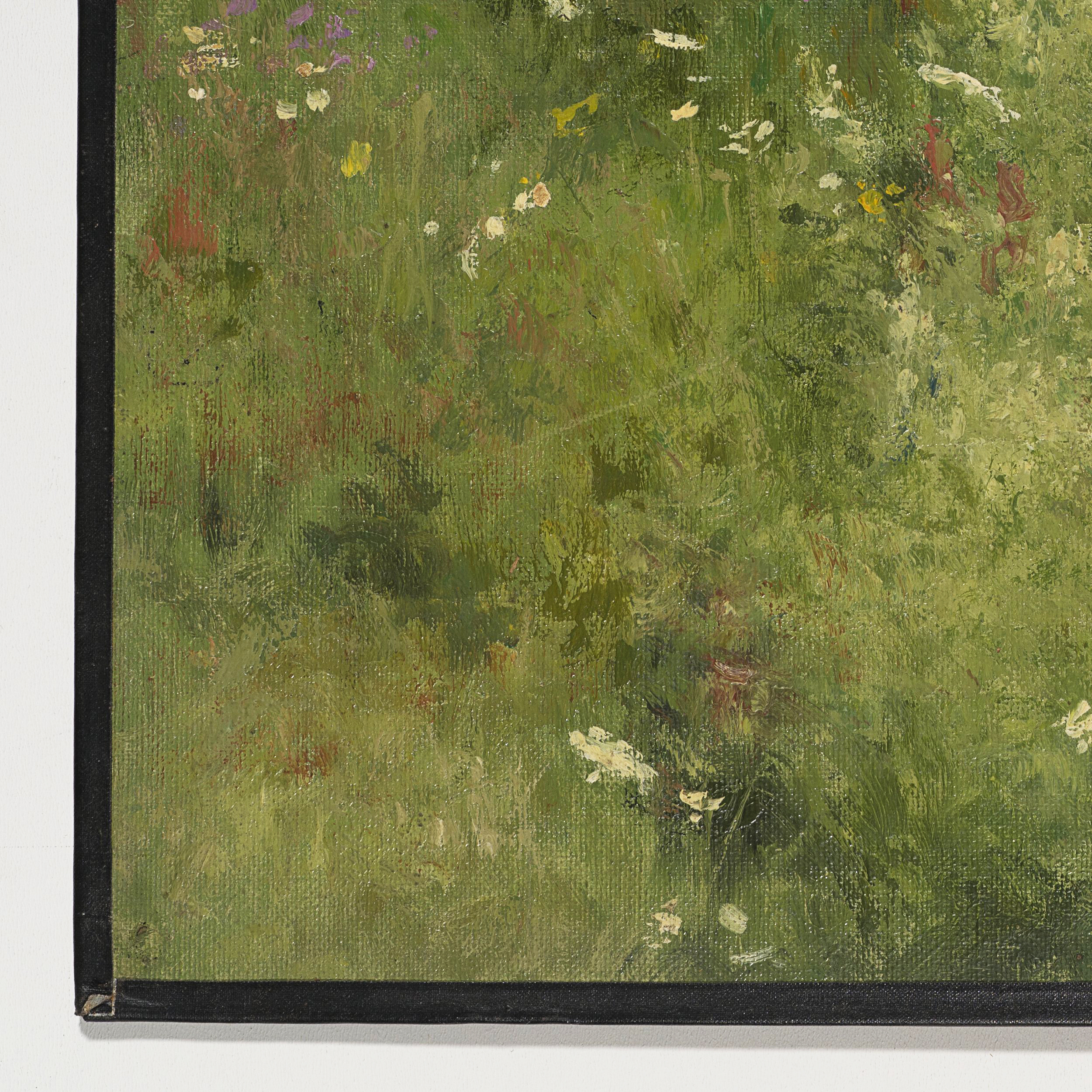 Sommerliche Wildblumenwiese