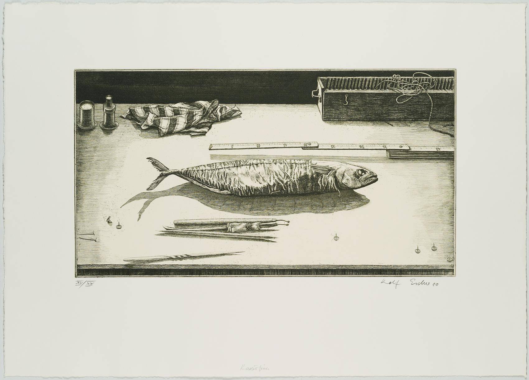 Radierfisch, 7. Zustand