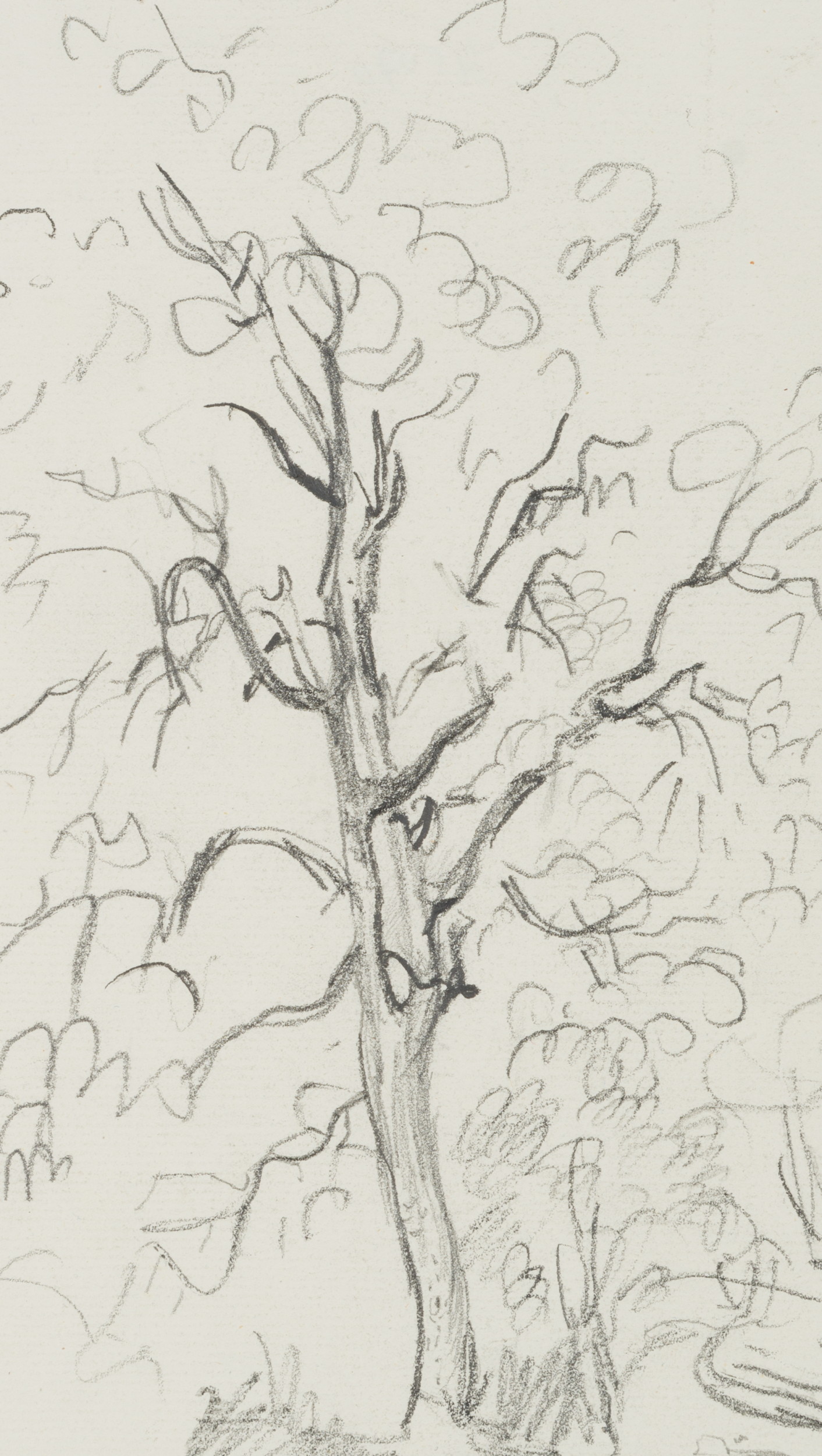 Baum am Wegrand