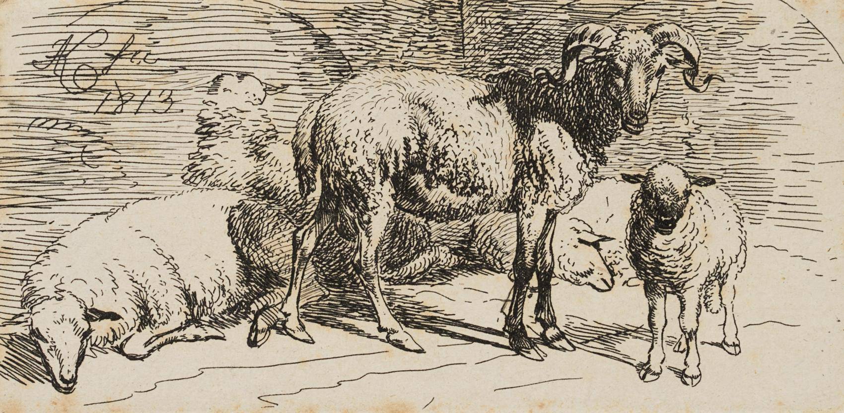 Widder und Lamm