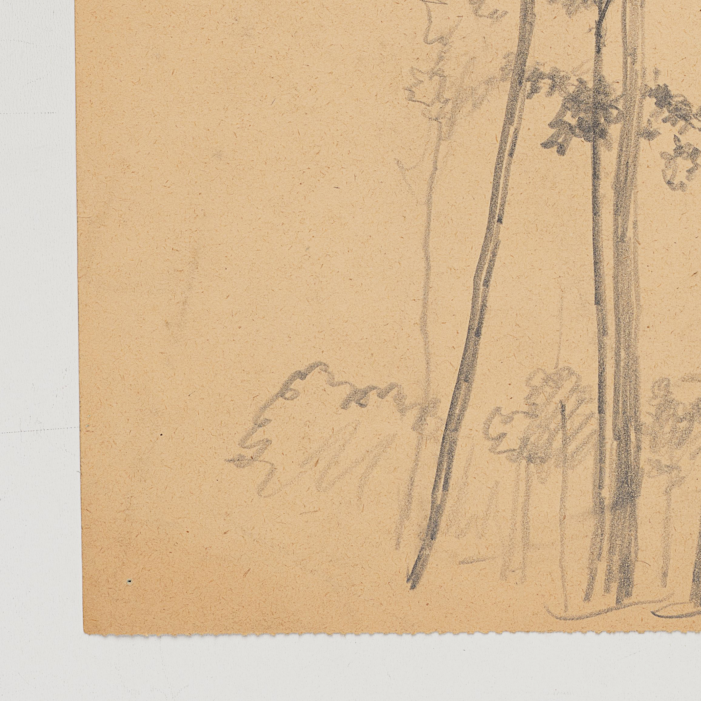 Baumgruppe, Studie