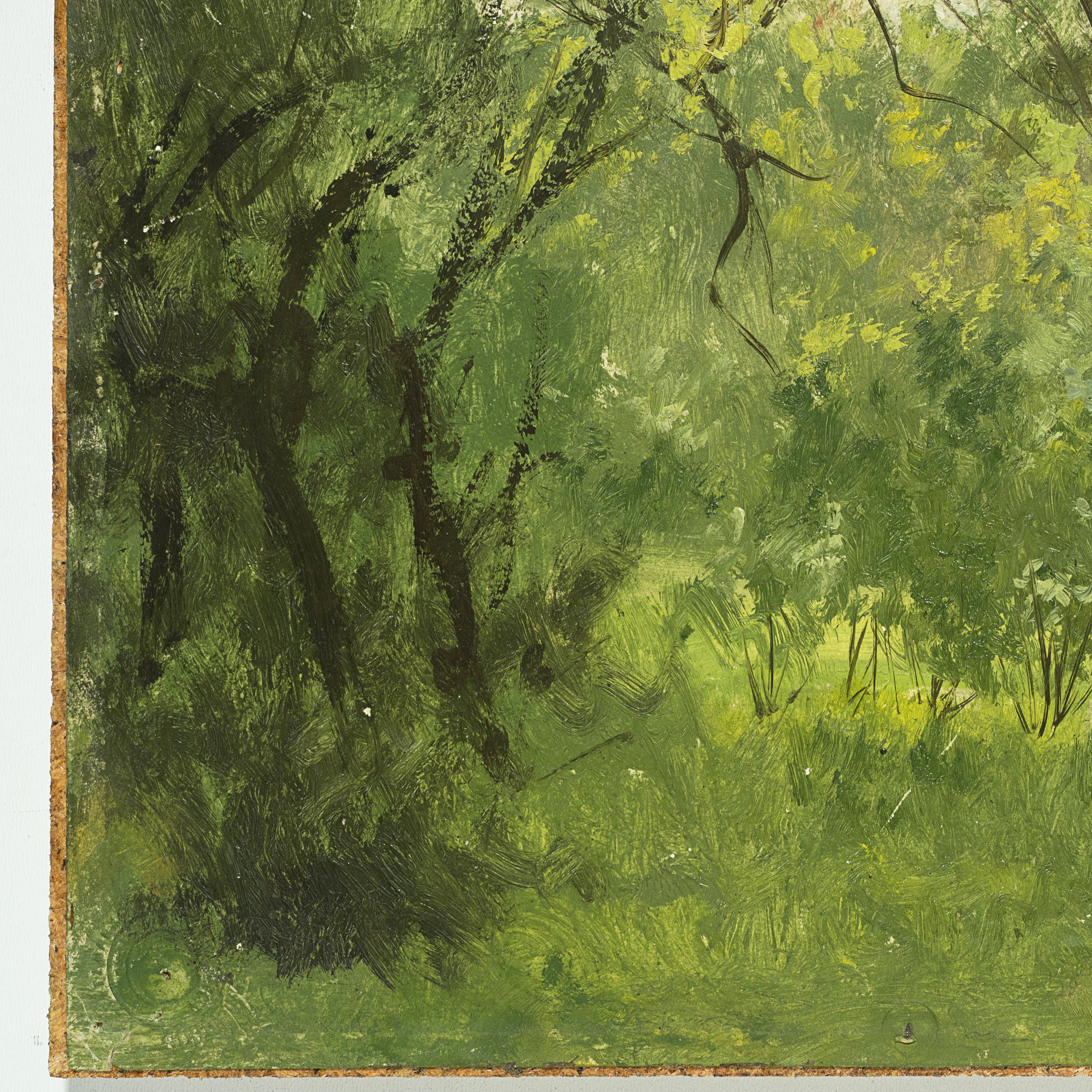 Waldlichtung im Sommer