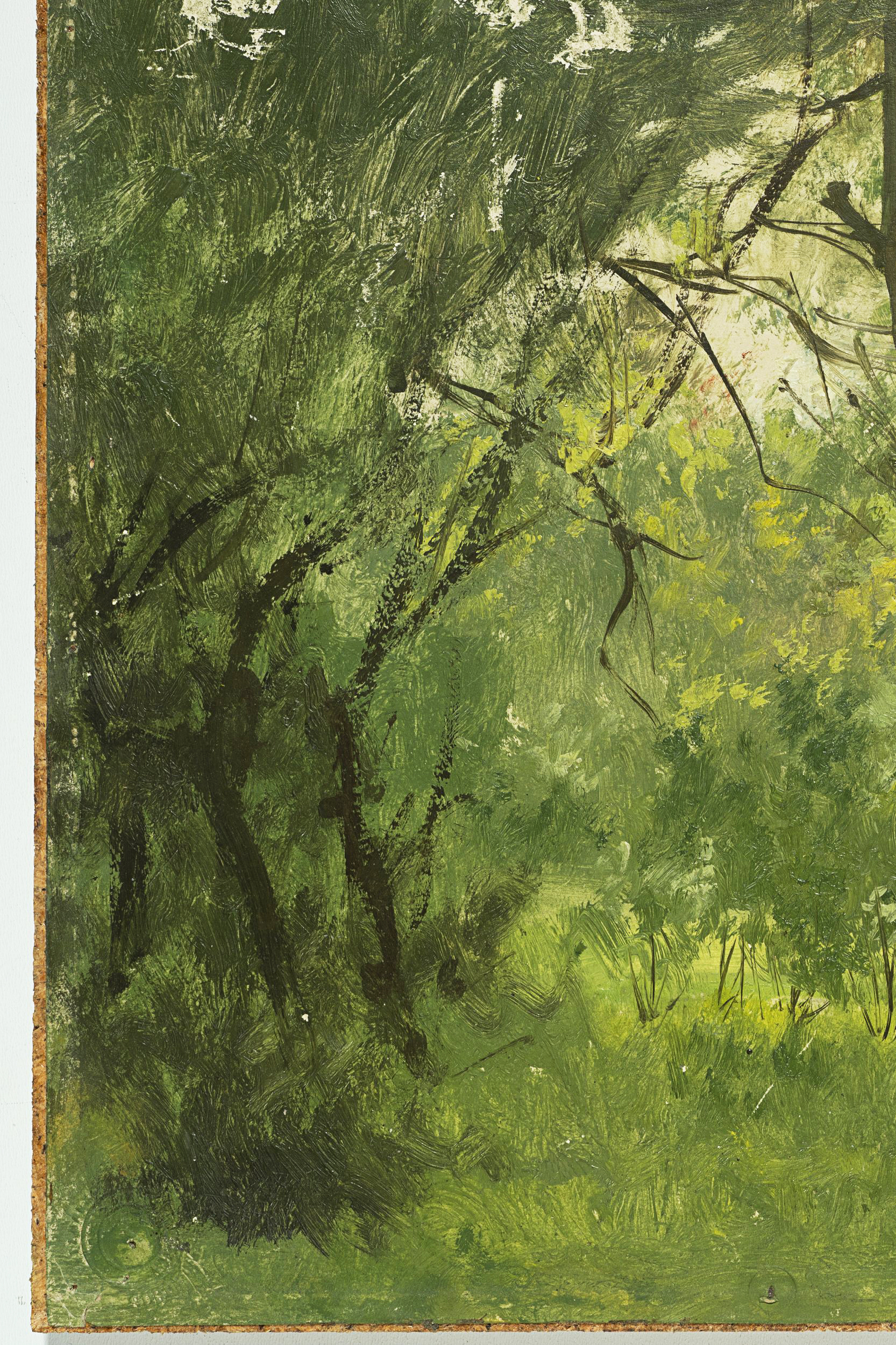 Waldlichtung im Sommer