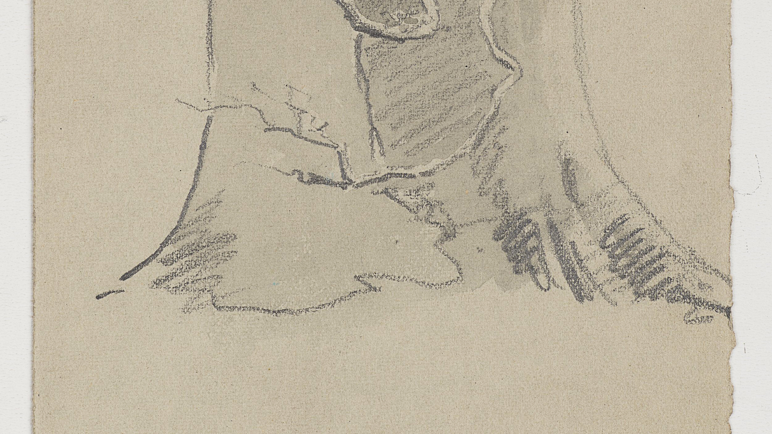 Studie zweier Baumstämme