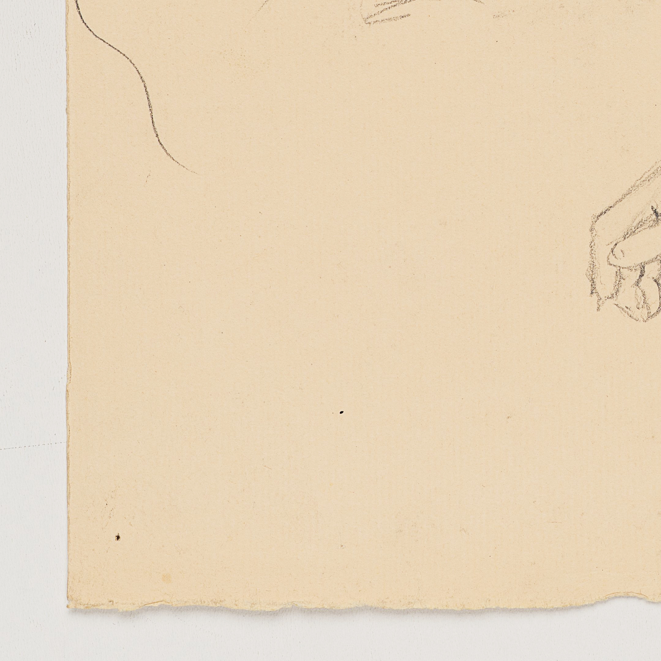 Zwei Handstudien, Arm und lockere Hand