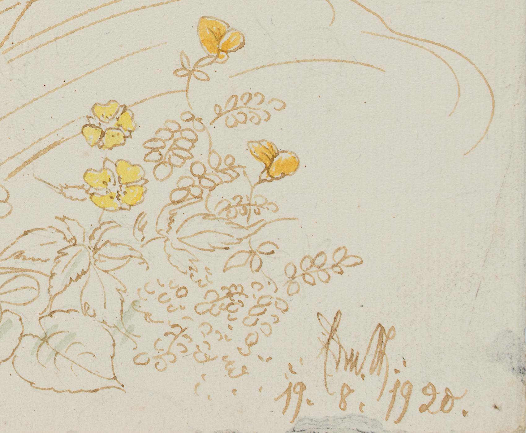Wiesenblumen