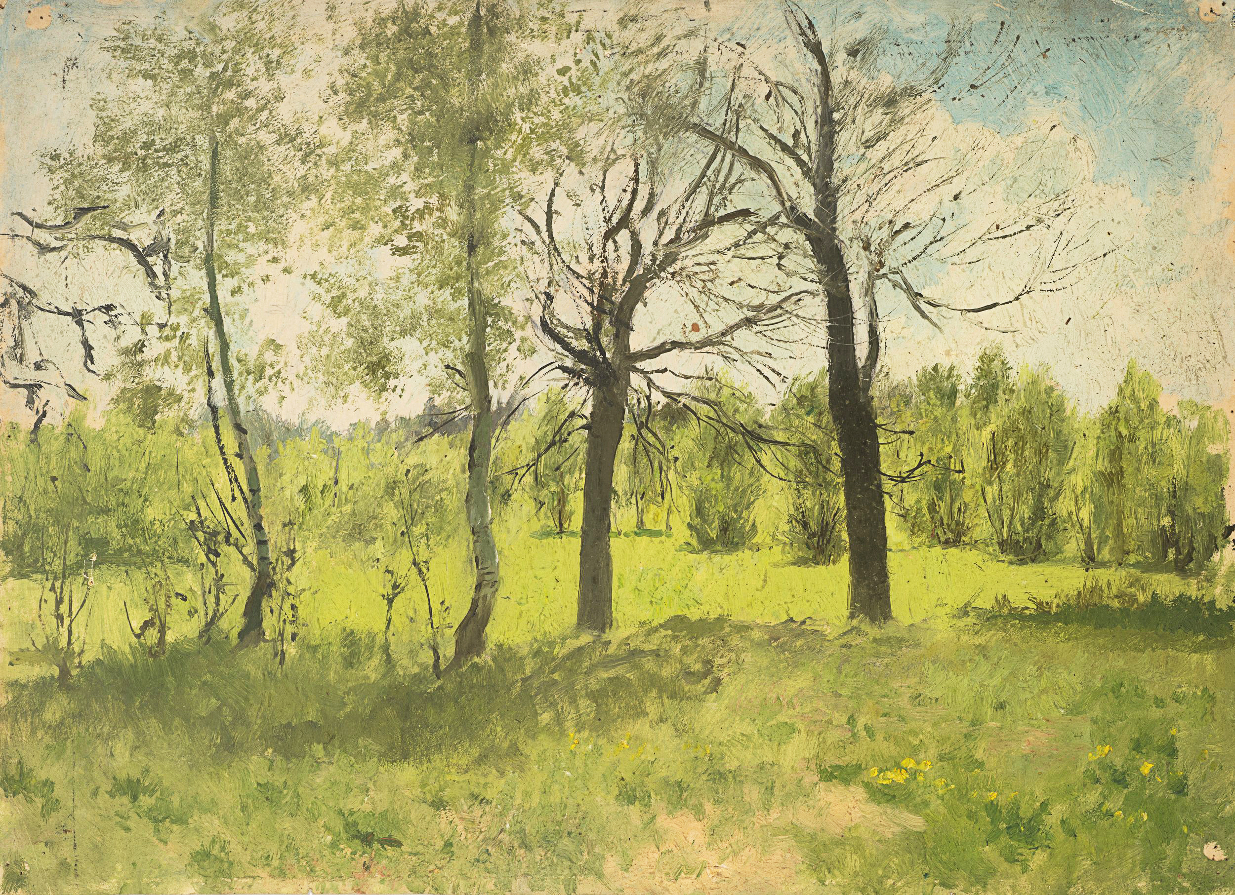 Baumlandschaft im Frühling