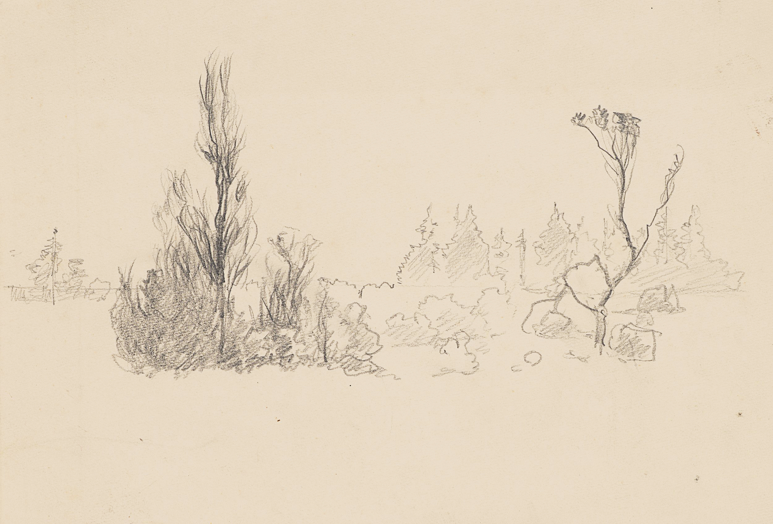 Landschaftsstudie mit Baumgruppen
