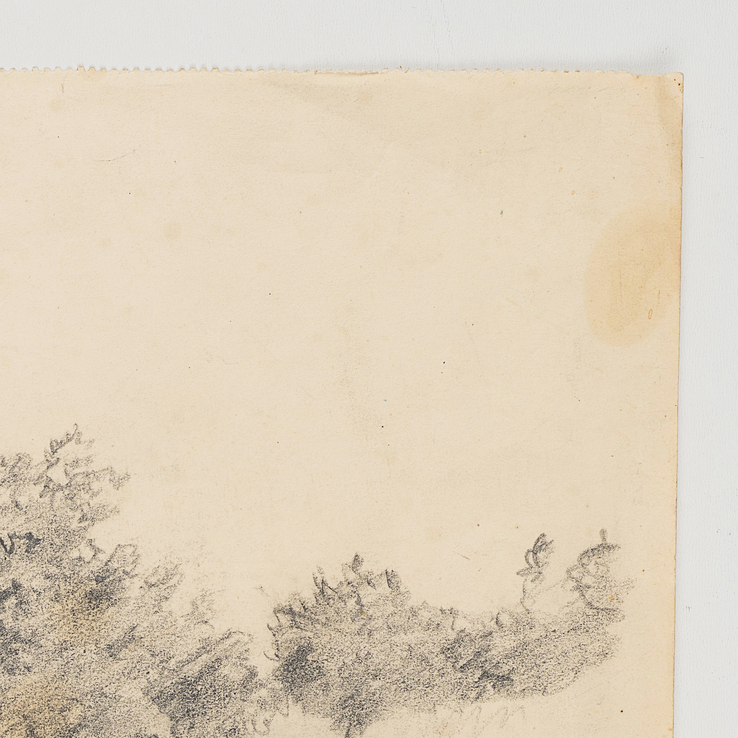 Studie bewachsener Dünen mit Blick auf Meer