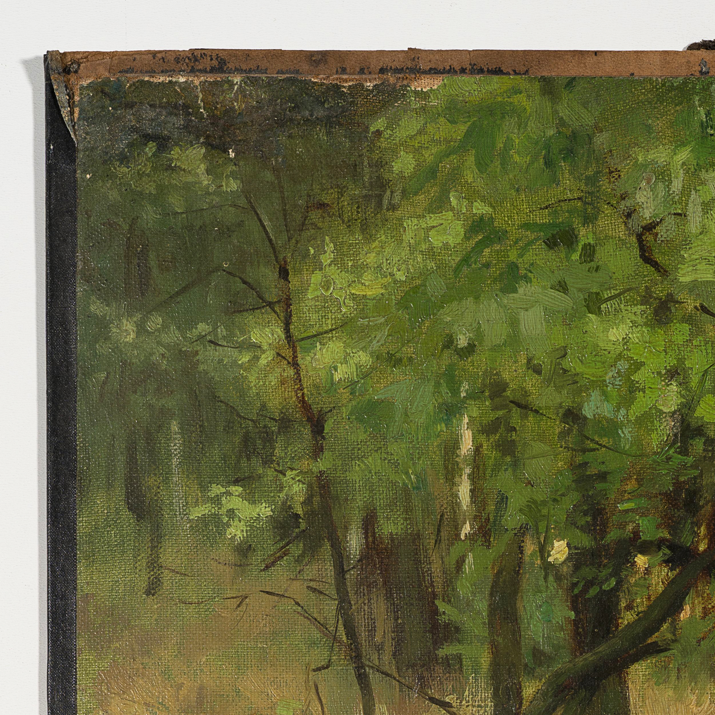 Waldlichtung im Sommer