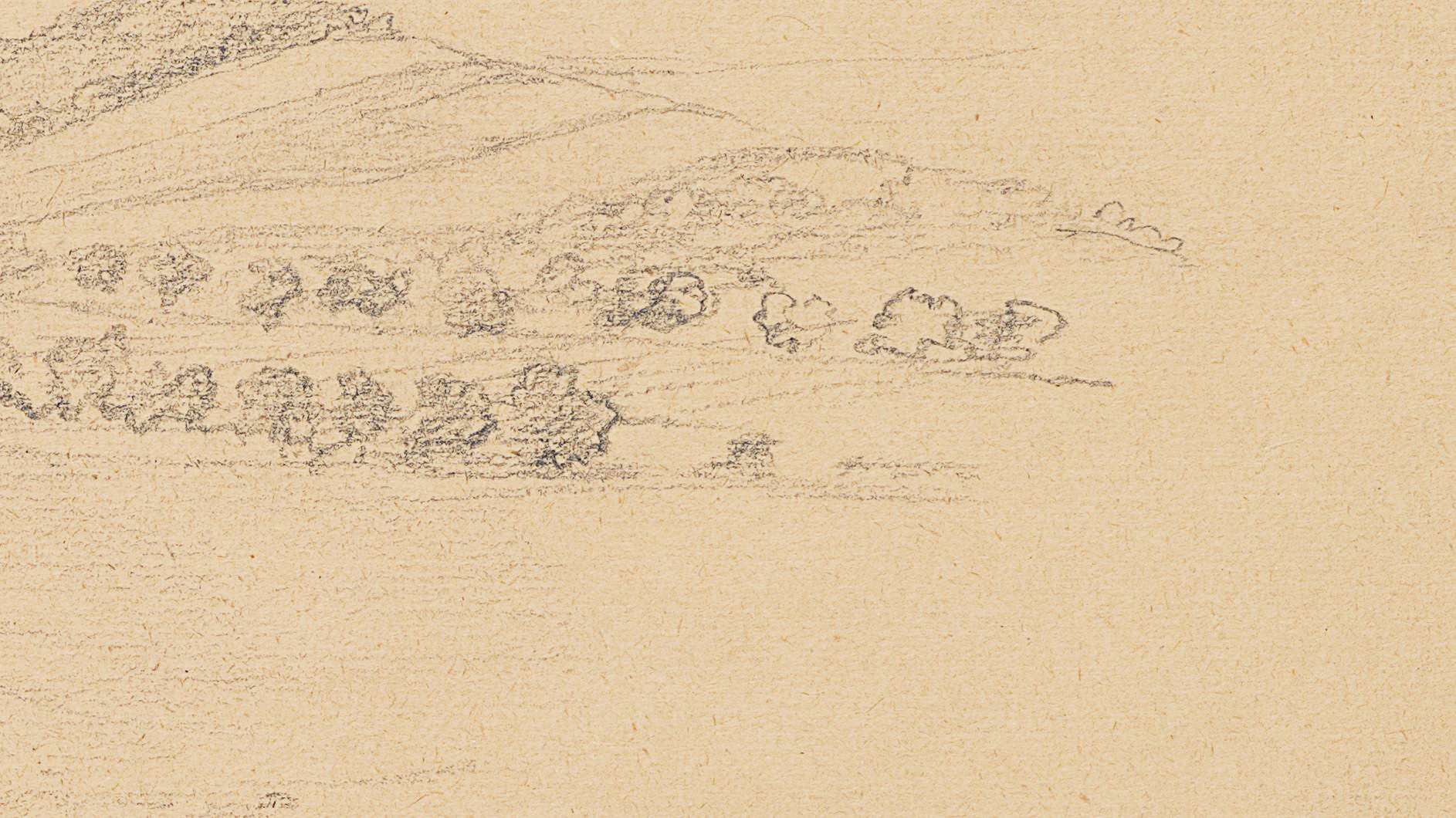 Landschaftsstudie mit Feldern und Bäumen
