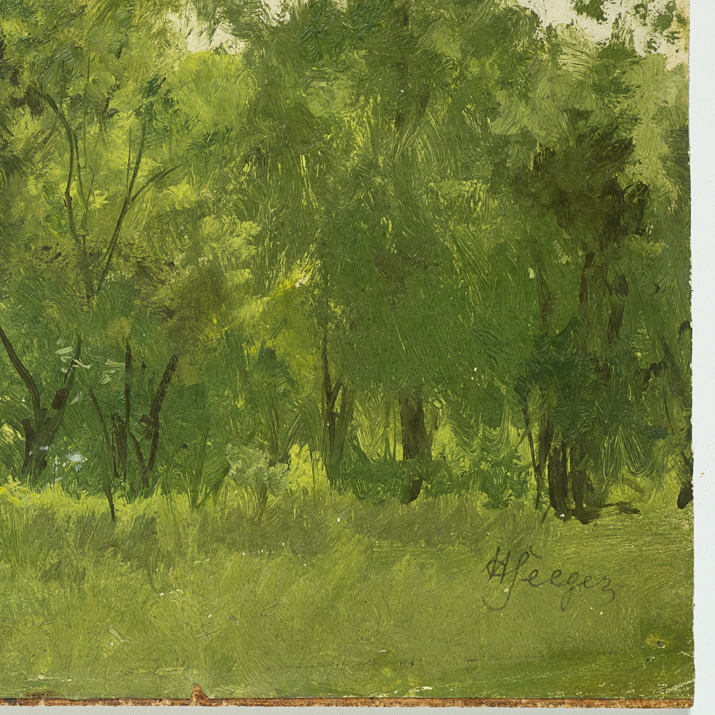 Waldlichtung im Sommer