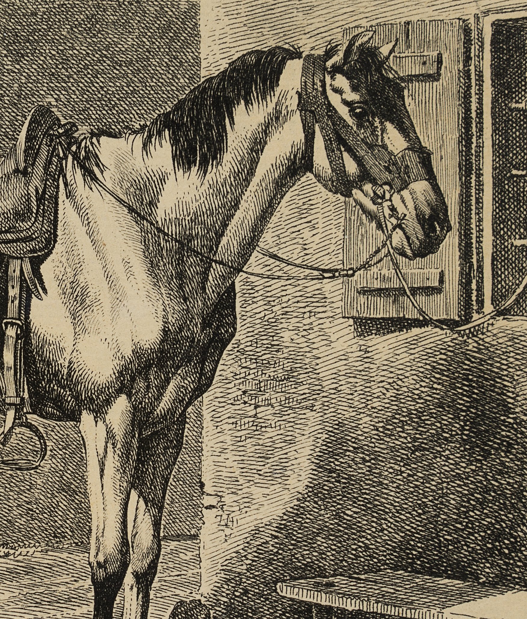 Das Bauernpferd am Fenstergitter