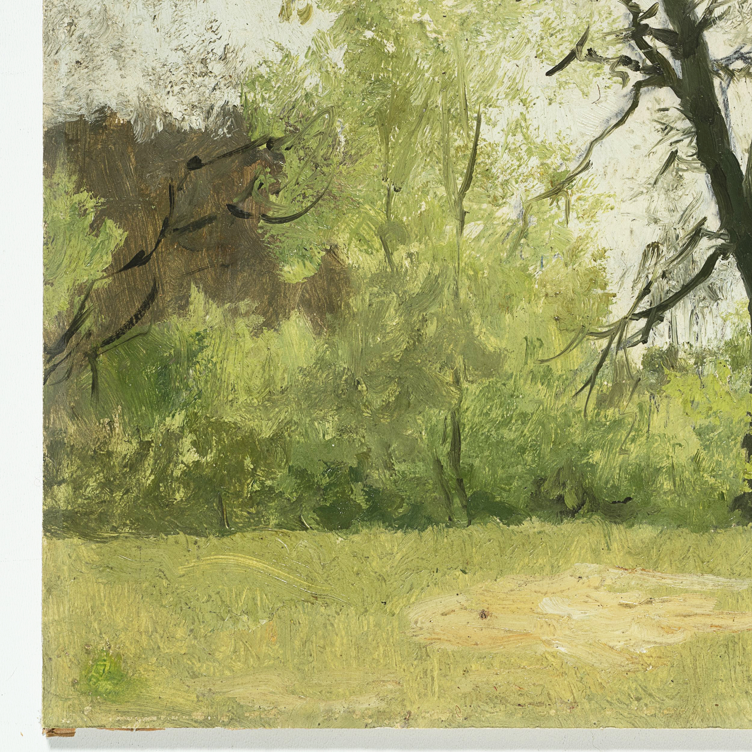 Baumlandschaft im Frühling