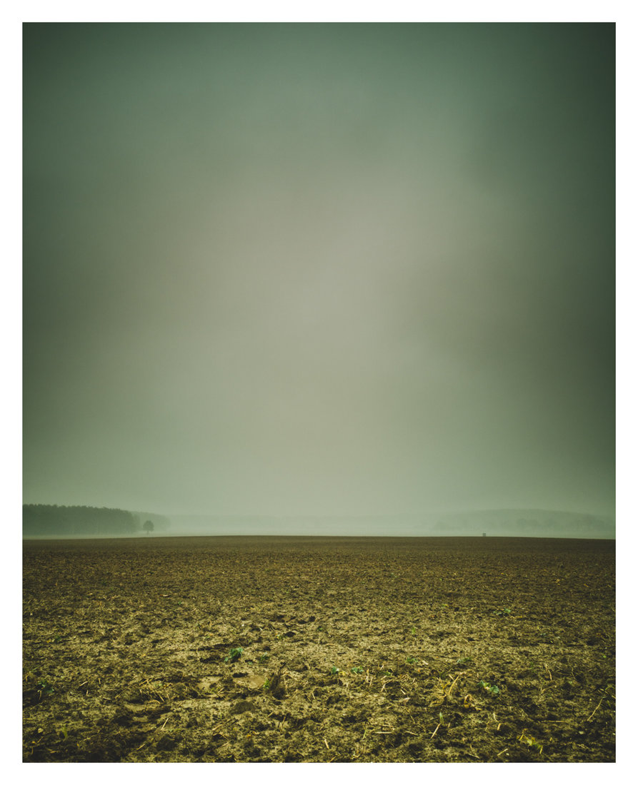 Feld I