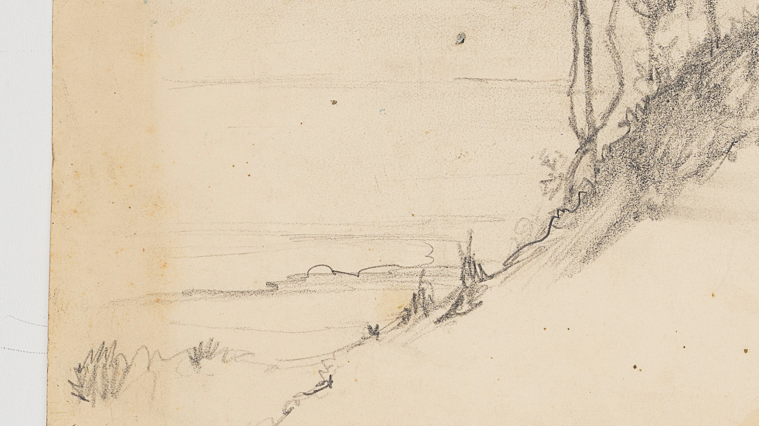 Studie bewachsener Dünen mit Blick auf Meer