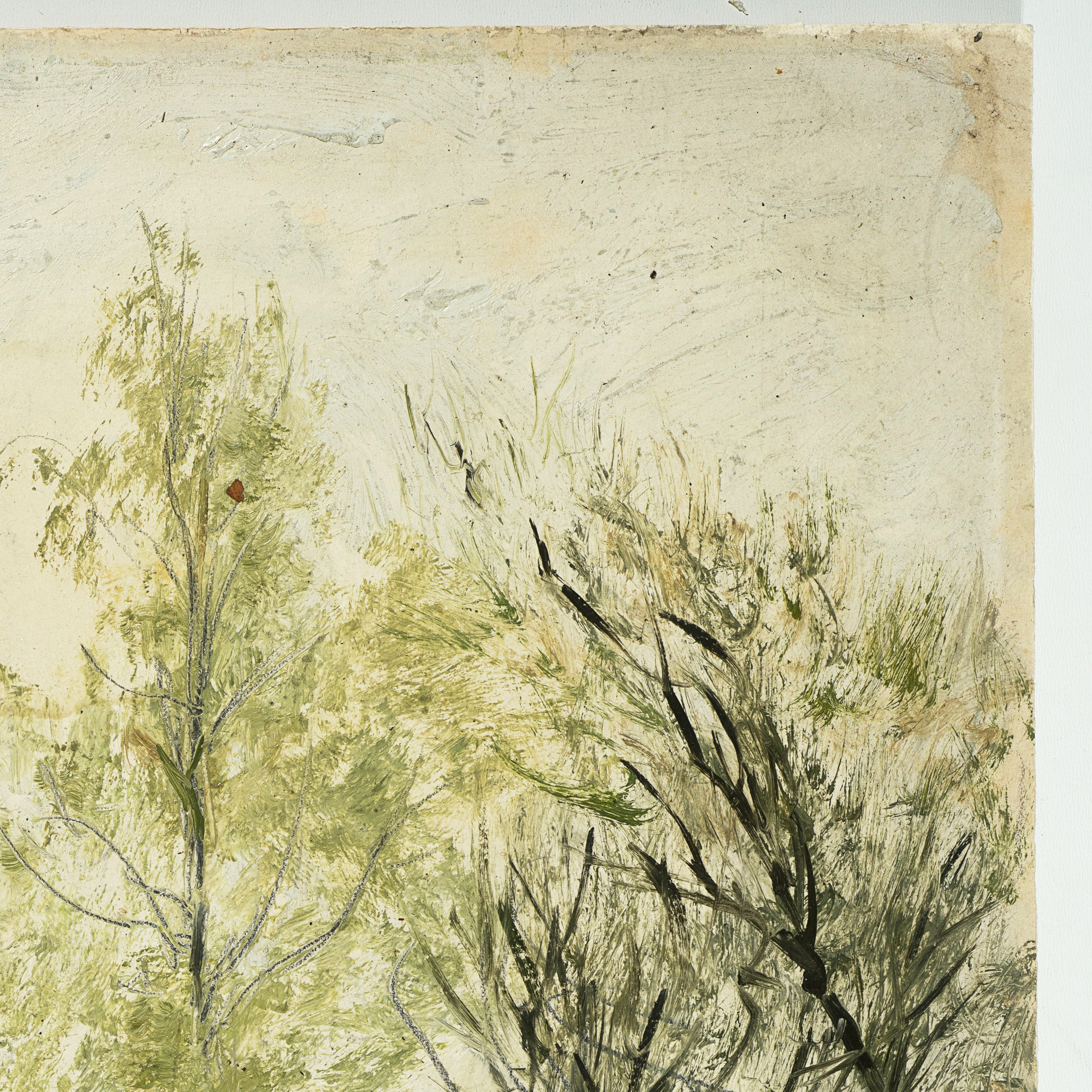 Baumlandschaft im Frühling