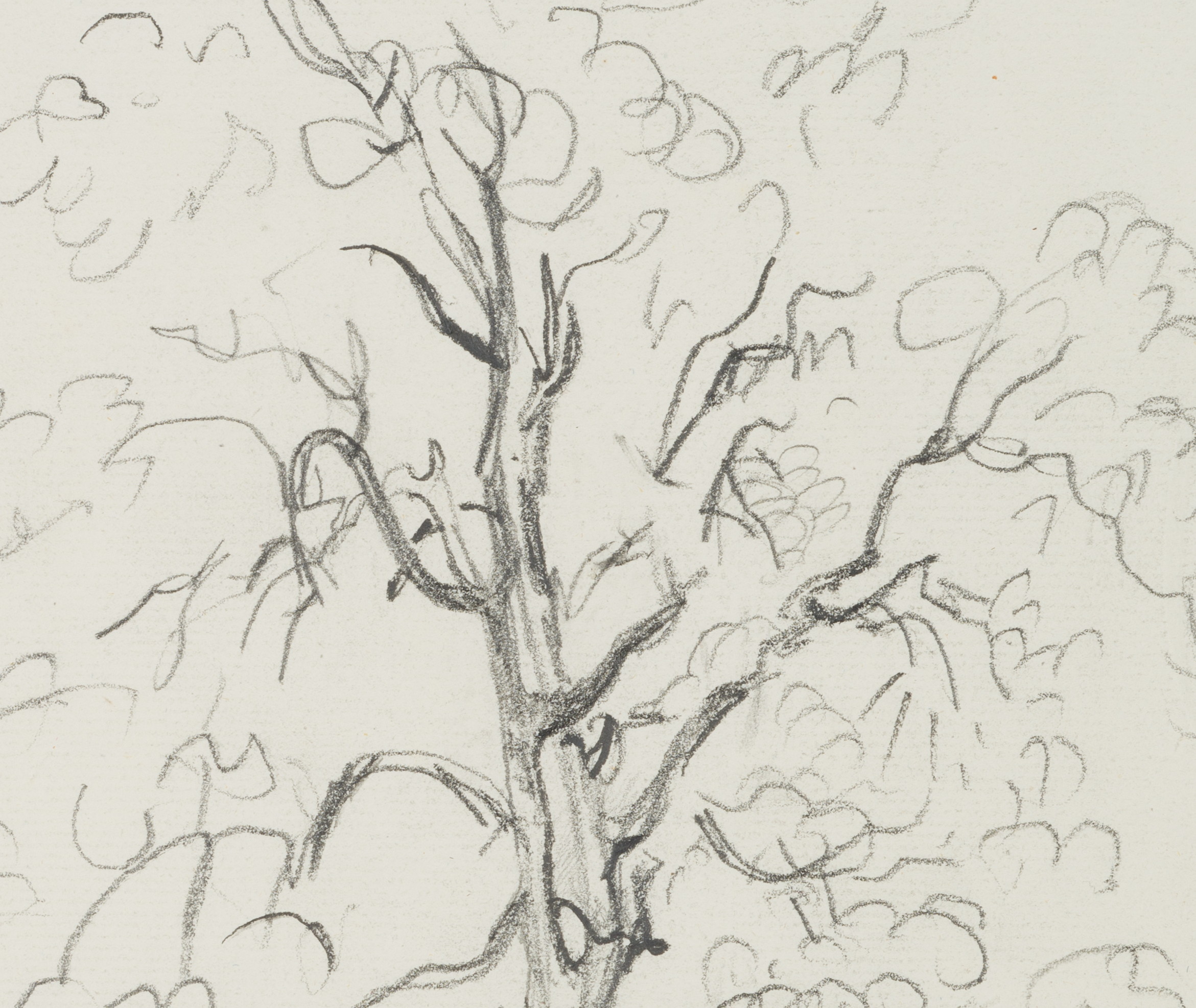 Baum am Wegrand