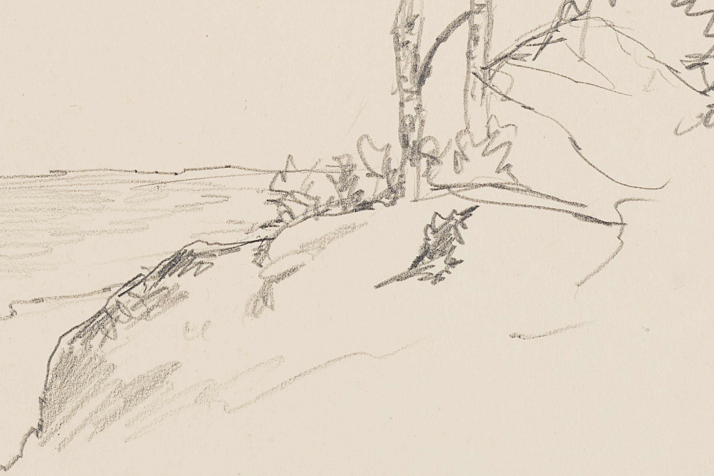 Baumgruppe auf Felsvorsprung. Küstenlandschaft