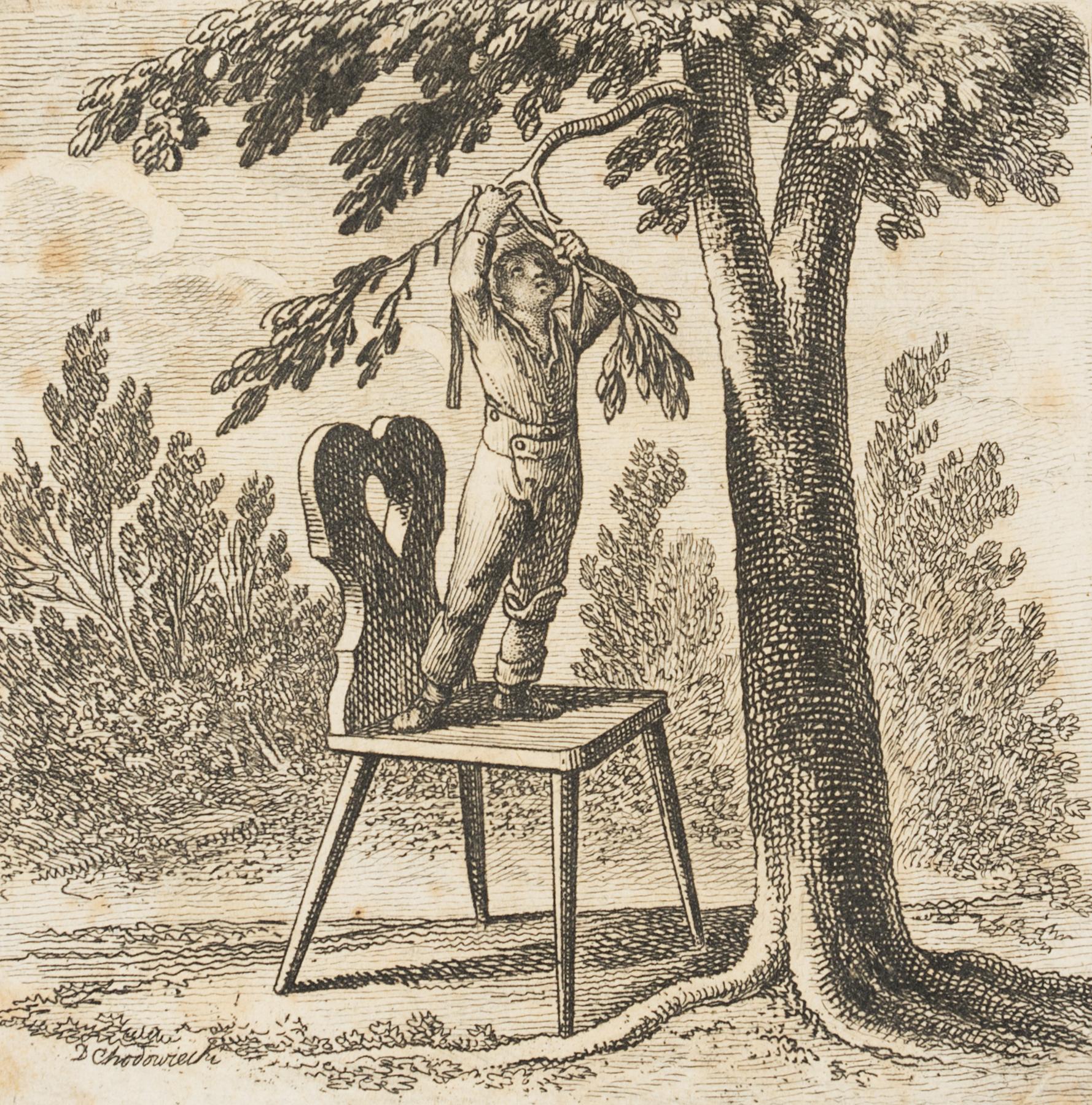 Leopold verbindet den Birnbaum