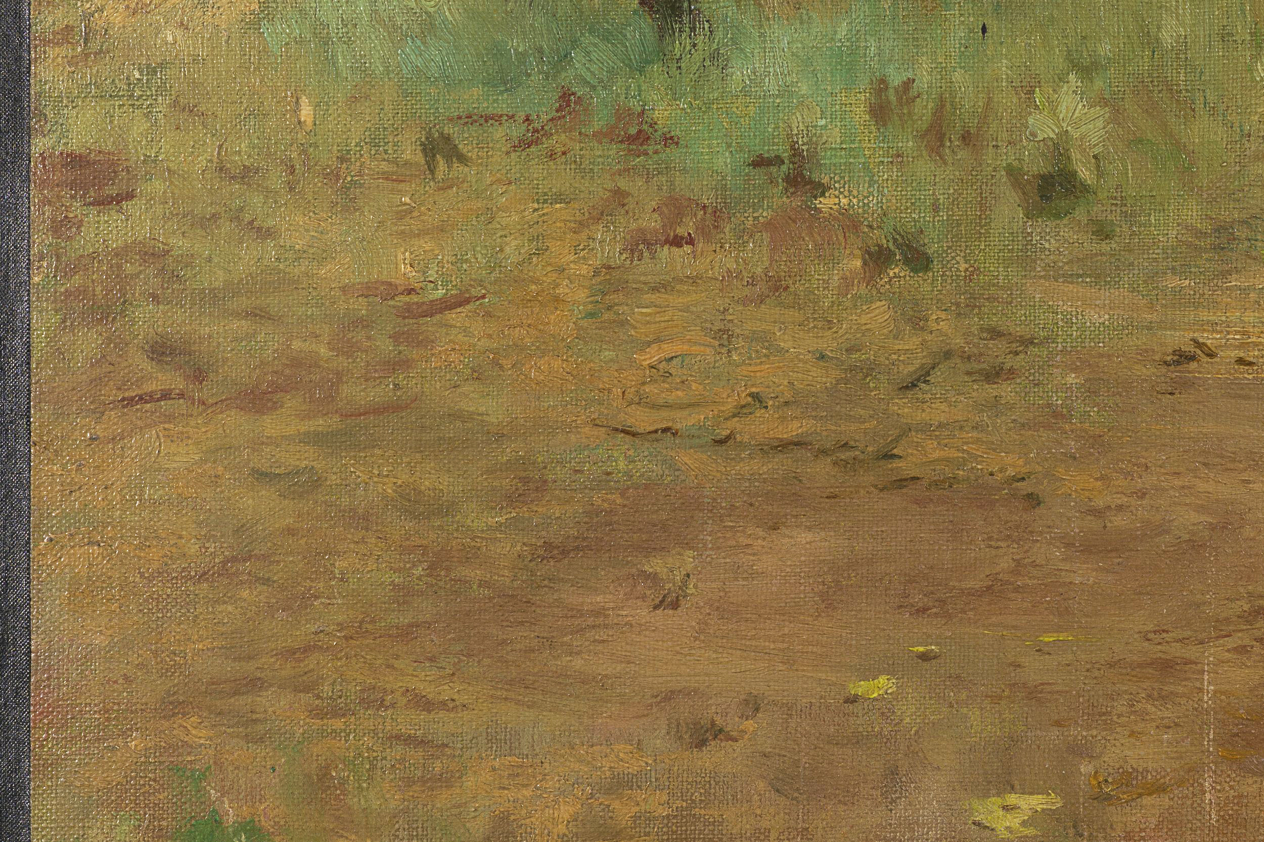Waldlichtung im Sommer