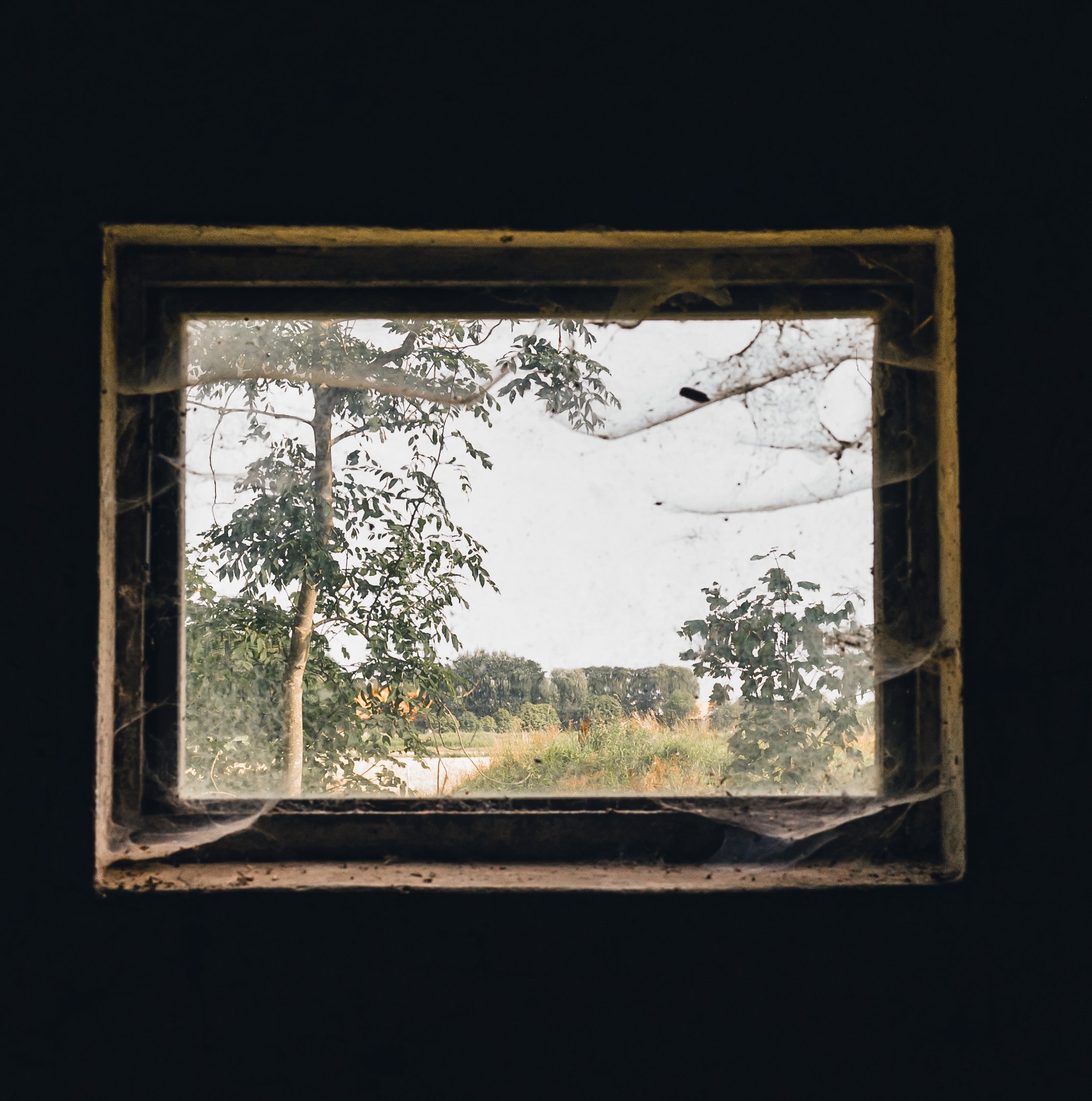 Spinnweben am Fenster