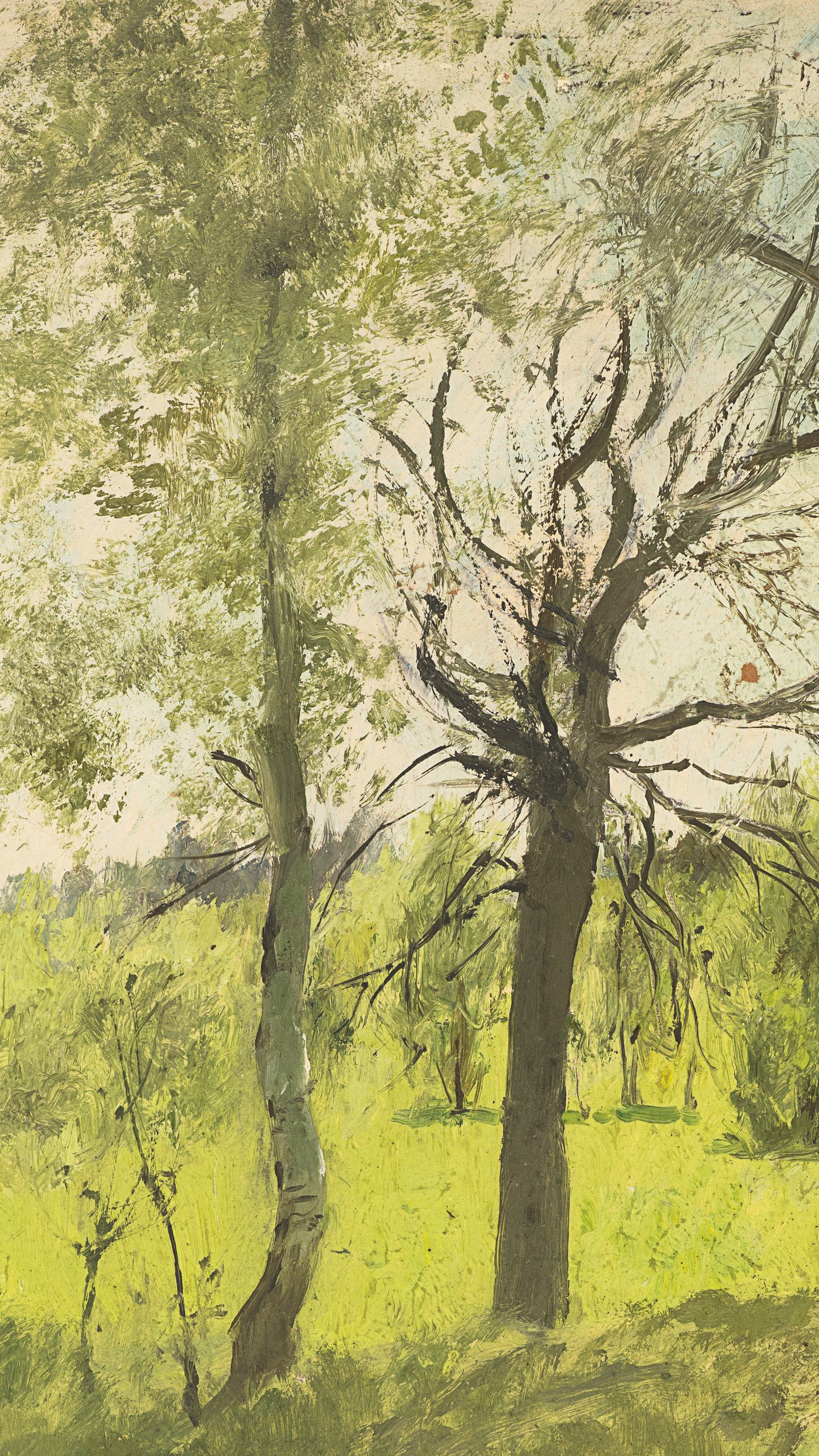 Baumlandschaft im Frühling