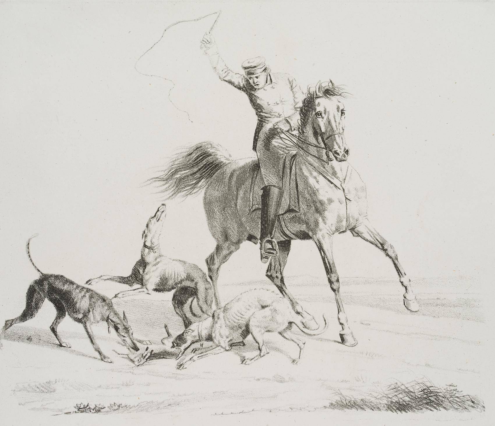 Ein Reiter und drei Hunde die einen Hasen zerren