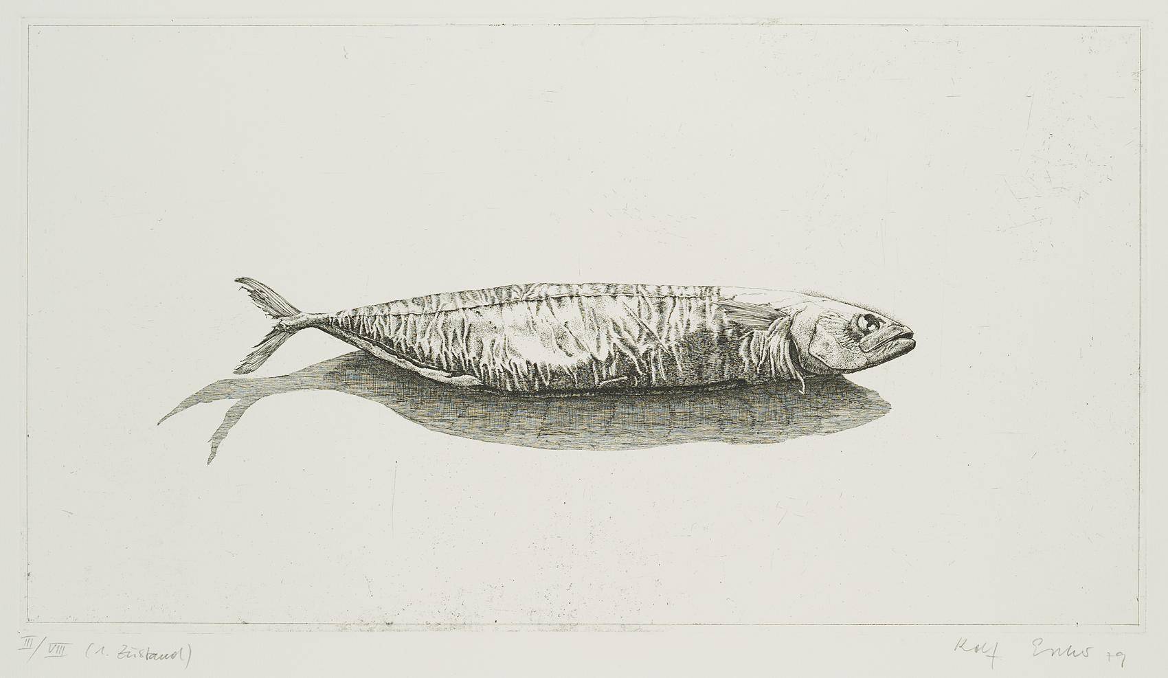 Radierfisch, 1. Zustand