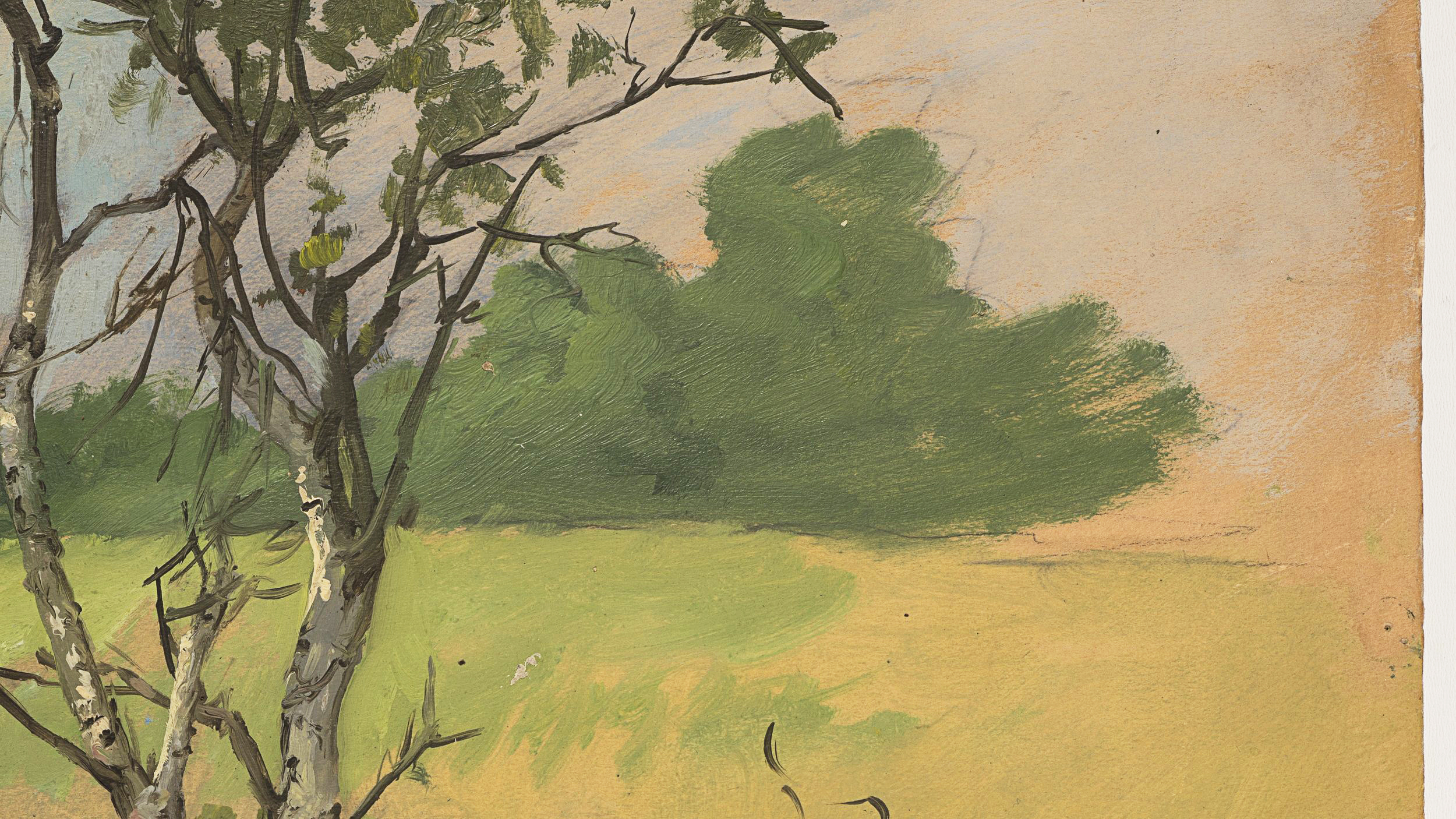 Baumgruppe in sommerlicher Landschaft