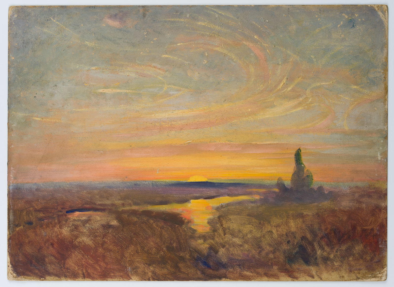 Niederdeutsche Heide im Sonnenuntergang