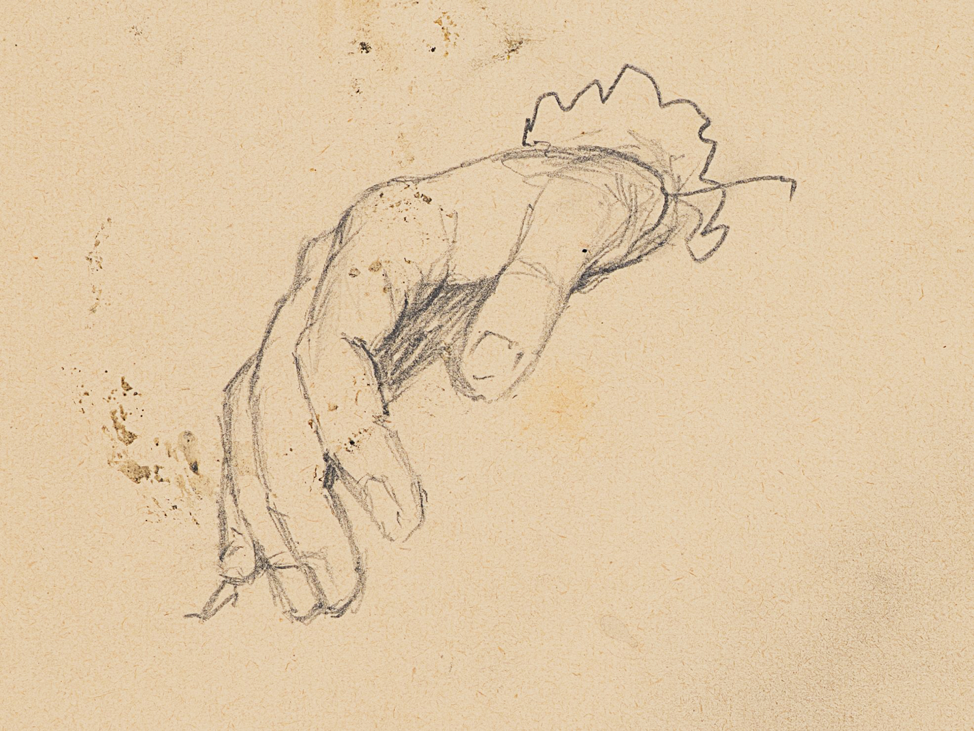 Studie einer Hand