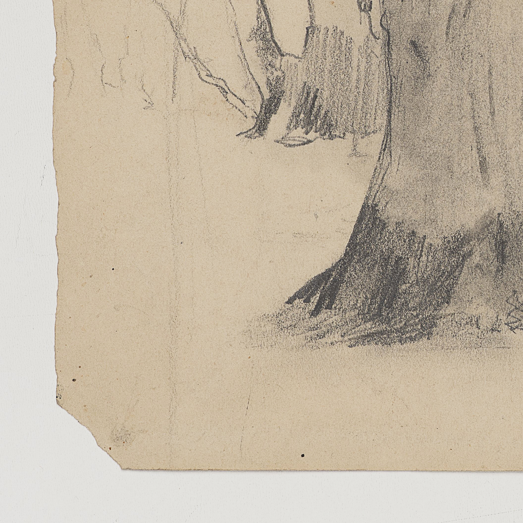 Studie eines breiten Baums