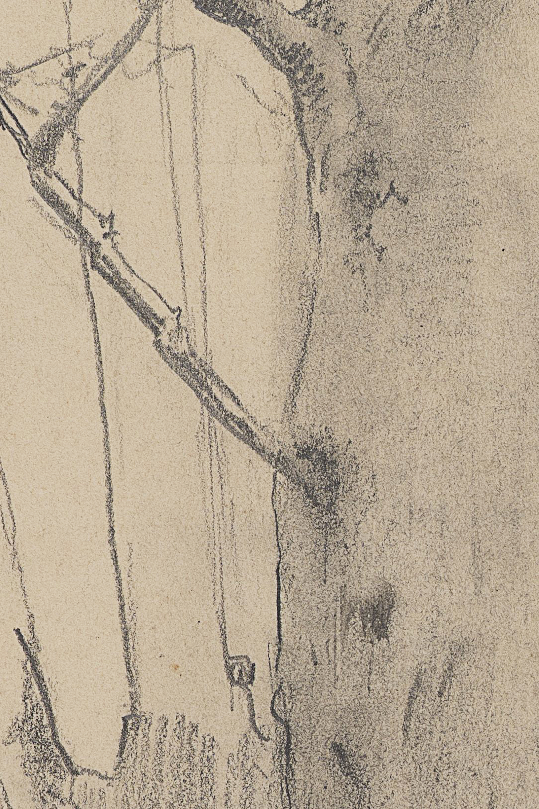 Studie eines breiten Baums