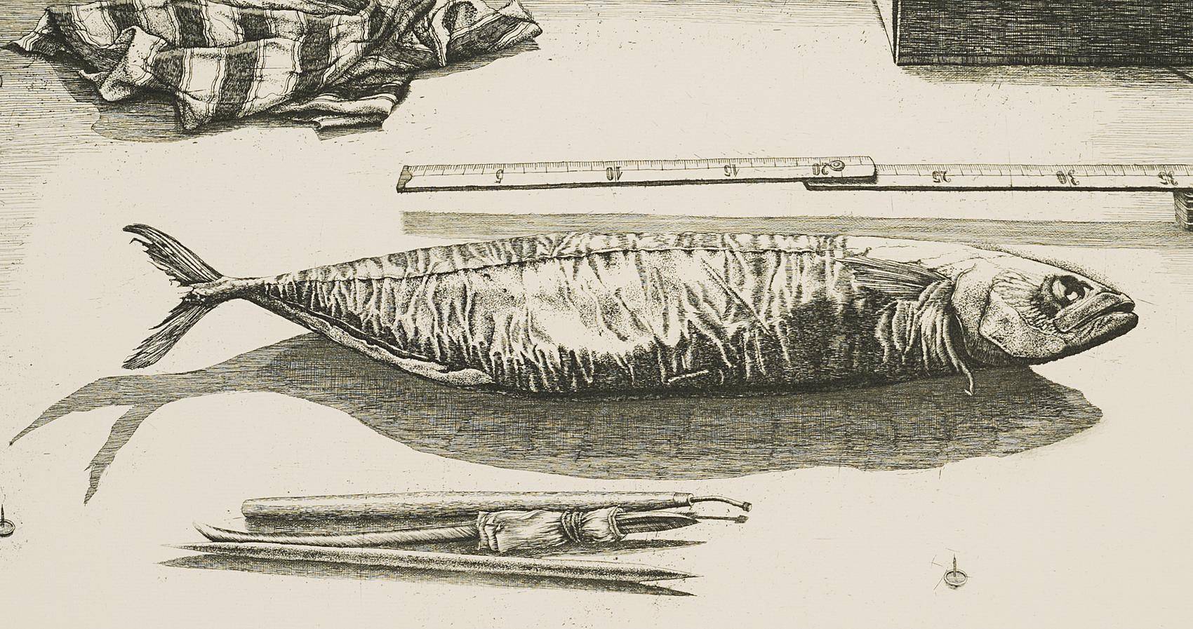 Radierfisch, 7. Zustand