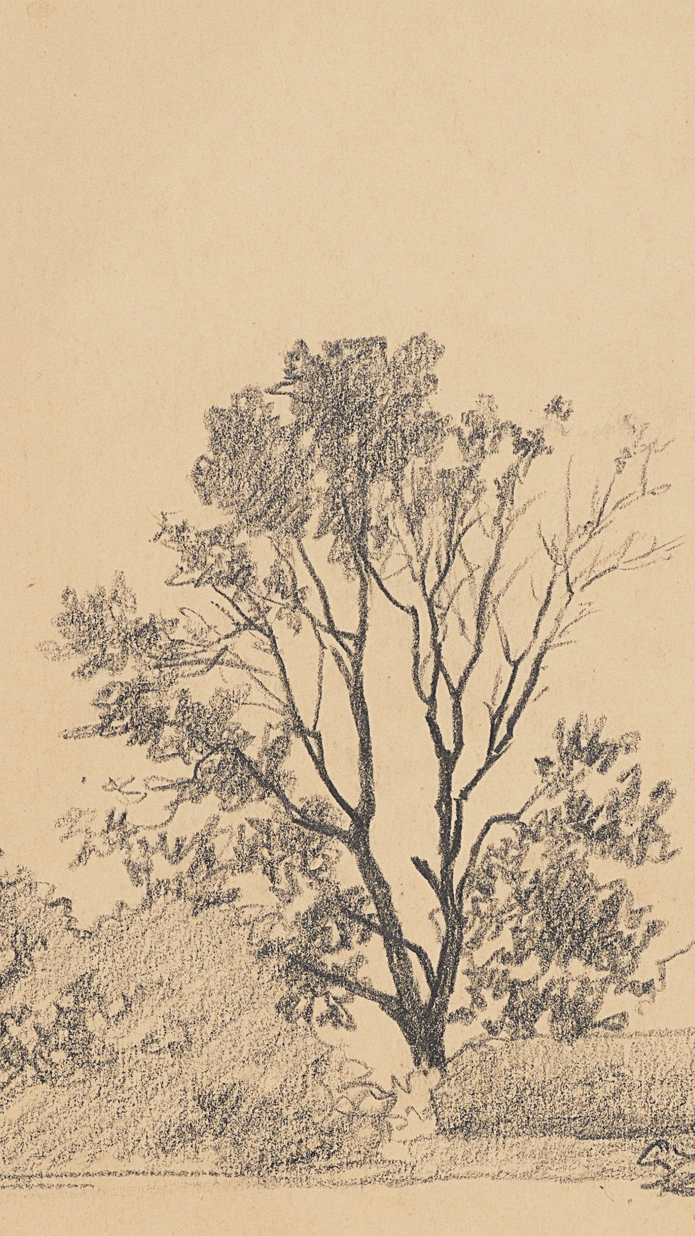 Ländliche Landschaft mit Bäumen und Gehöft
