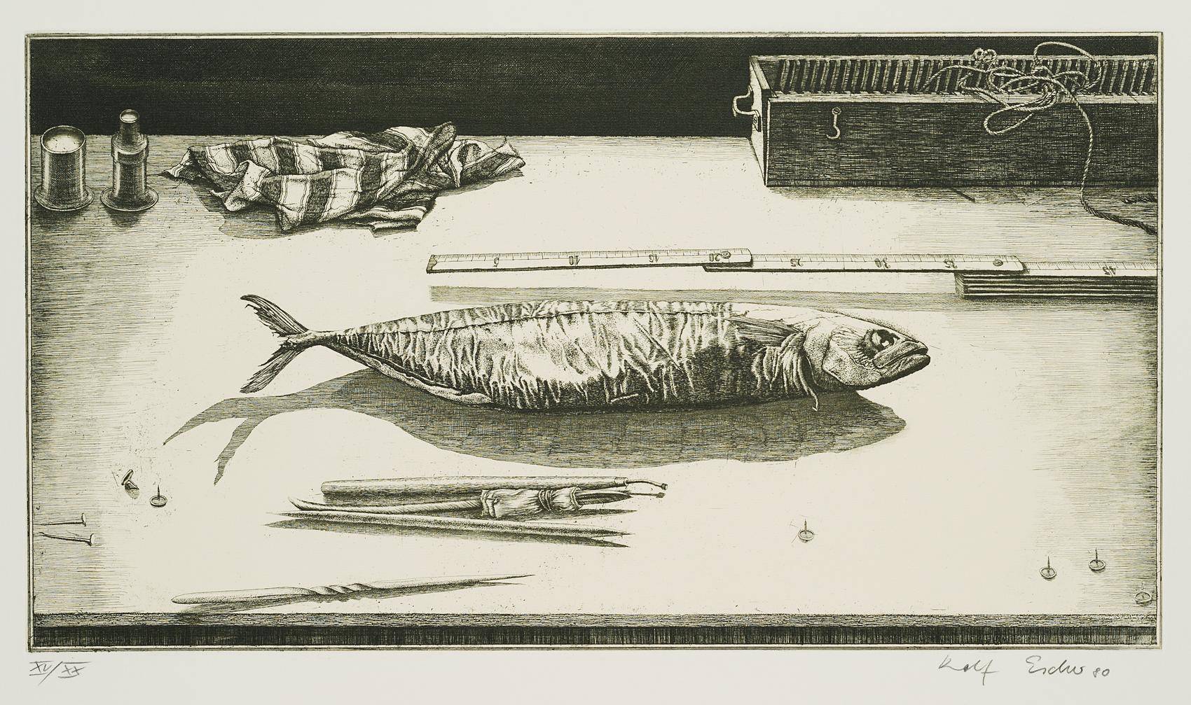 Radierfisch, 7. Zustand