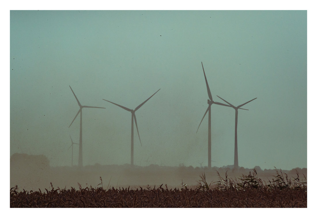 Feld II