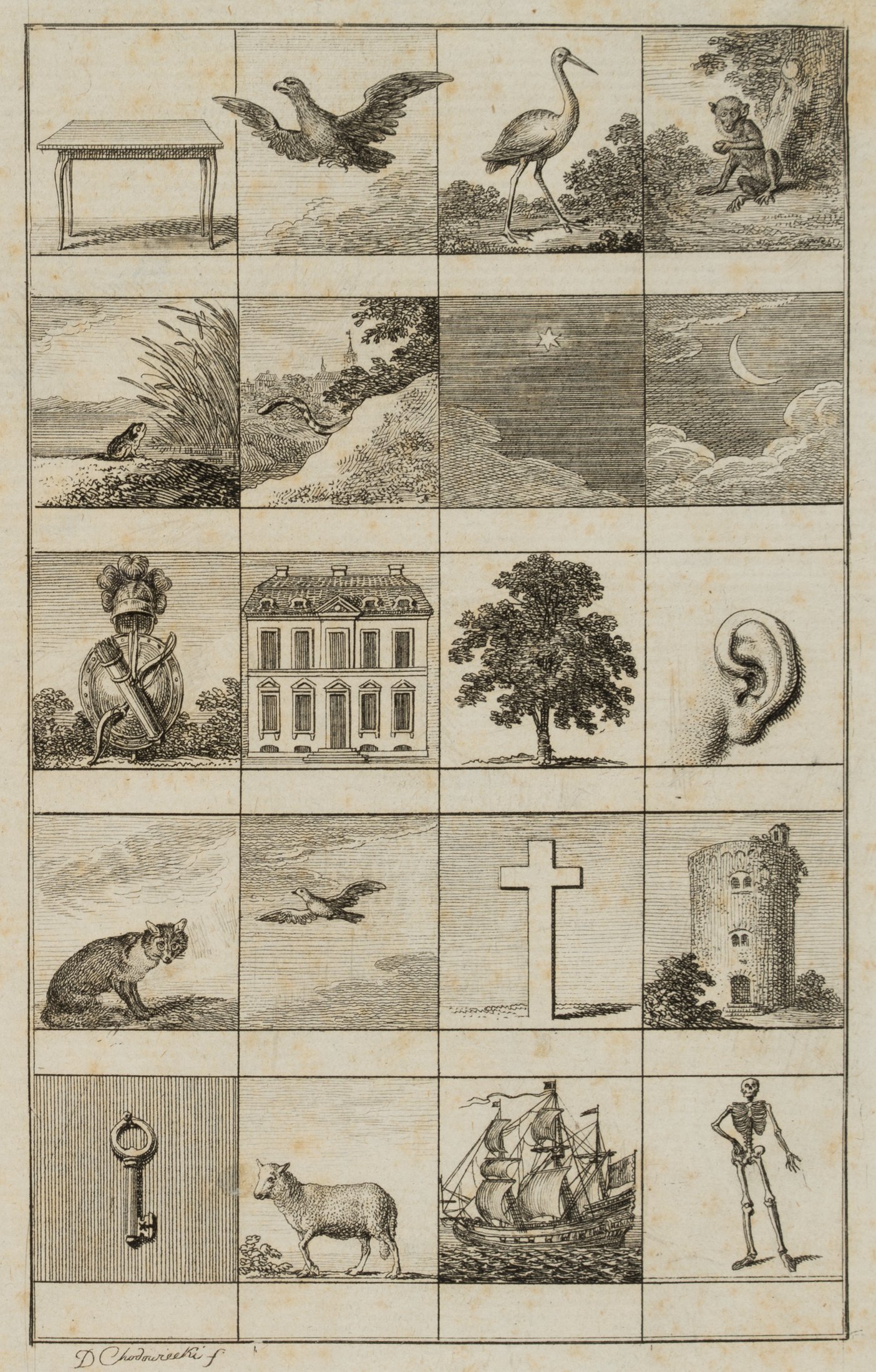 Illustration lateinischer Genera