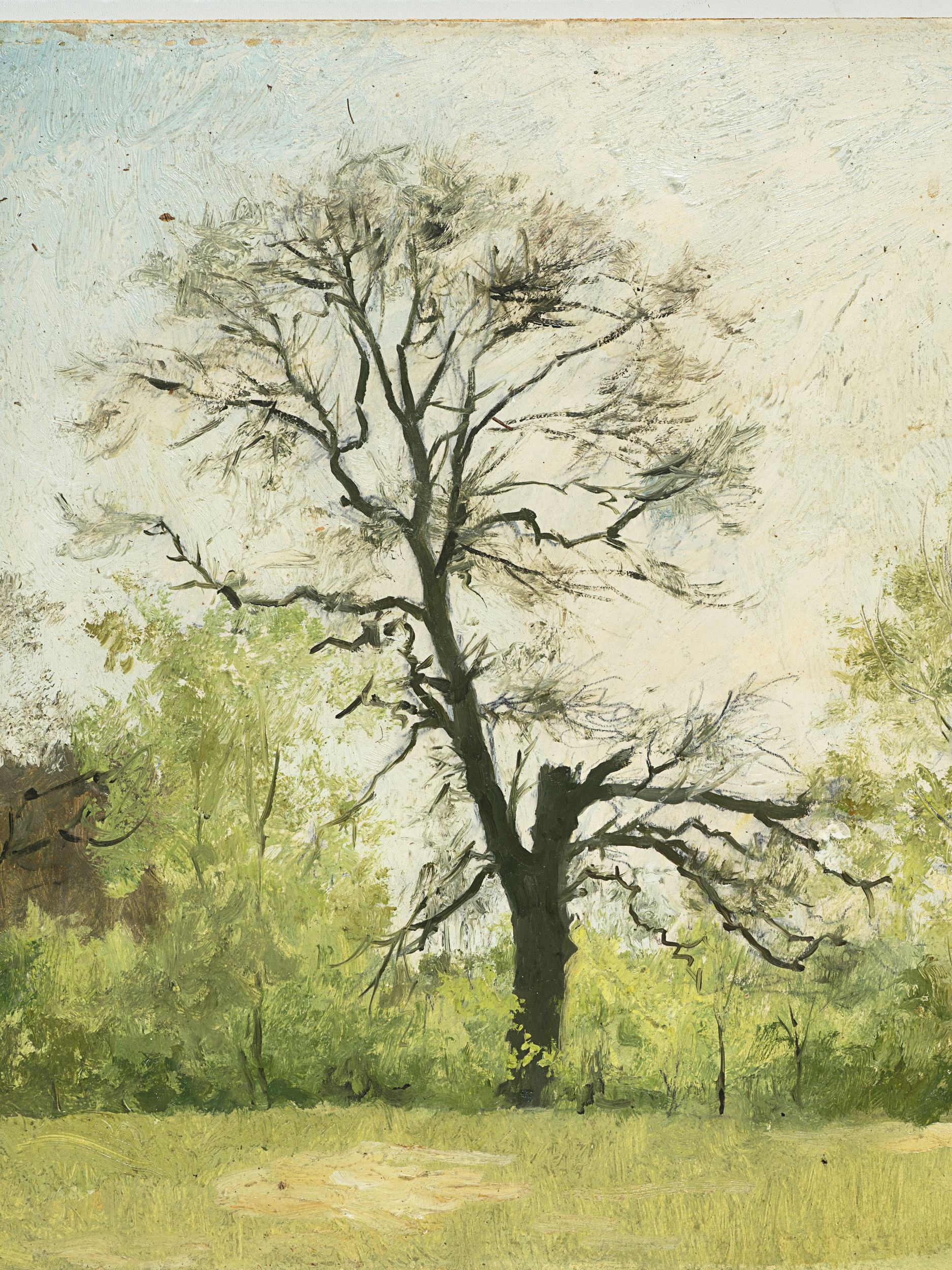Baumlandschaft im Frühling
