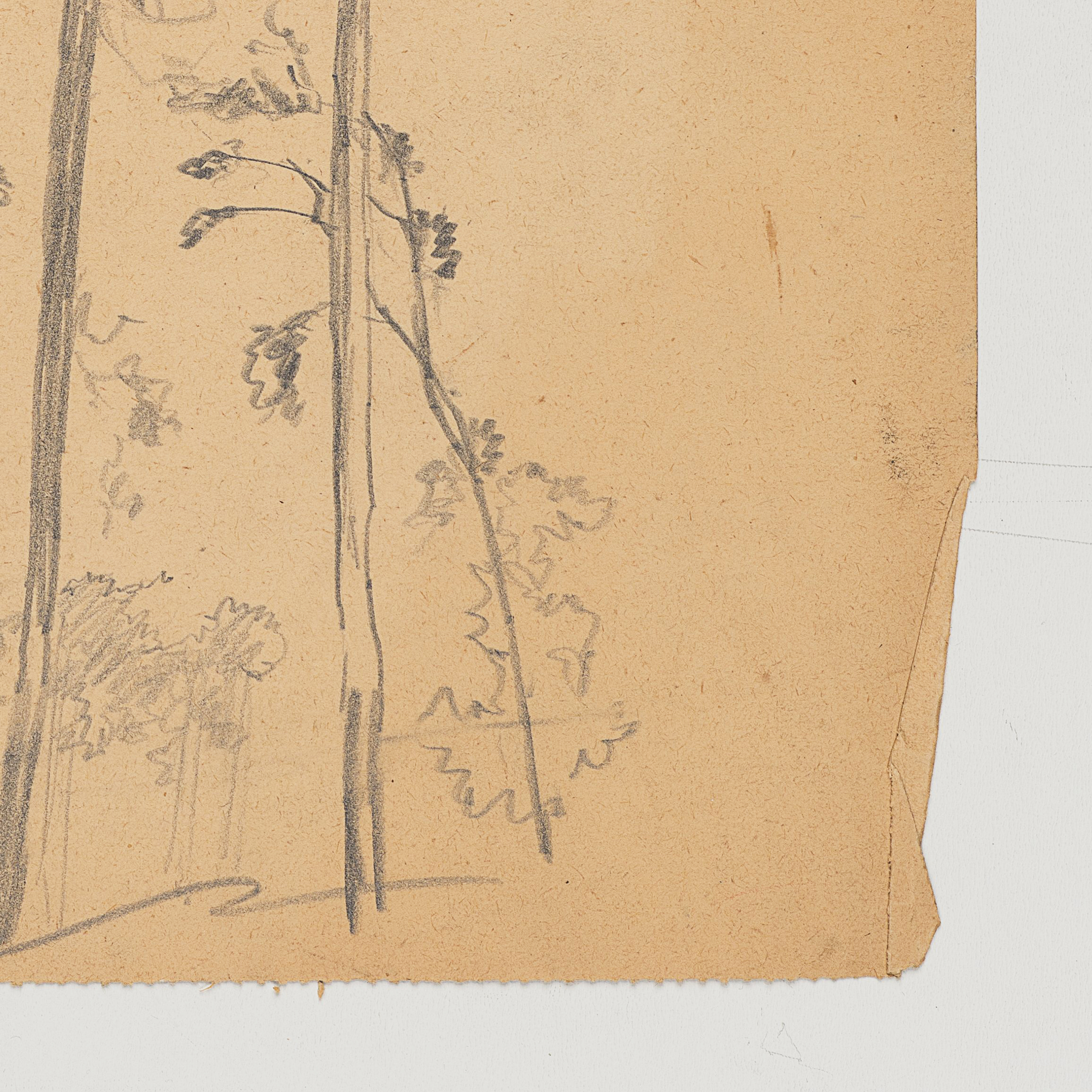 Baumgruppe, Studie