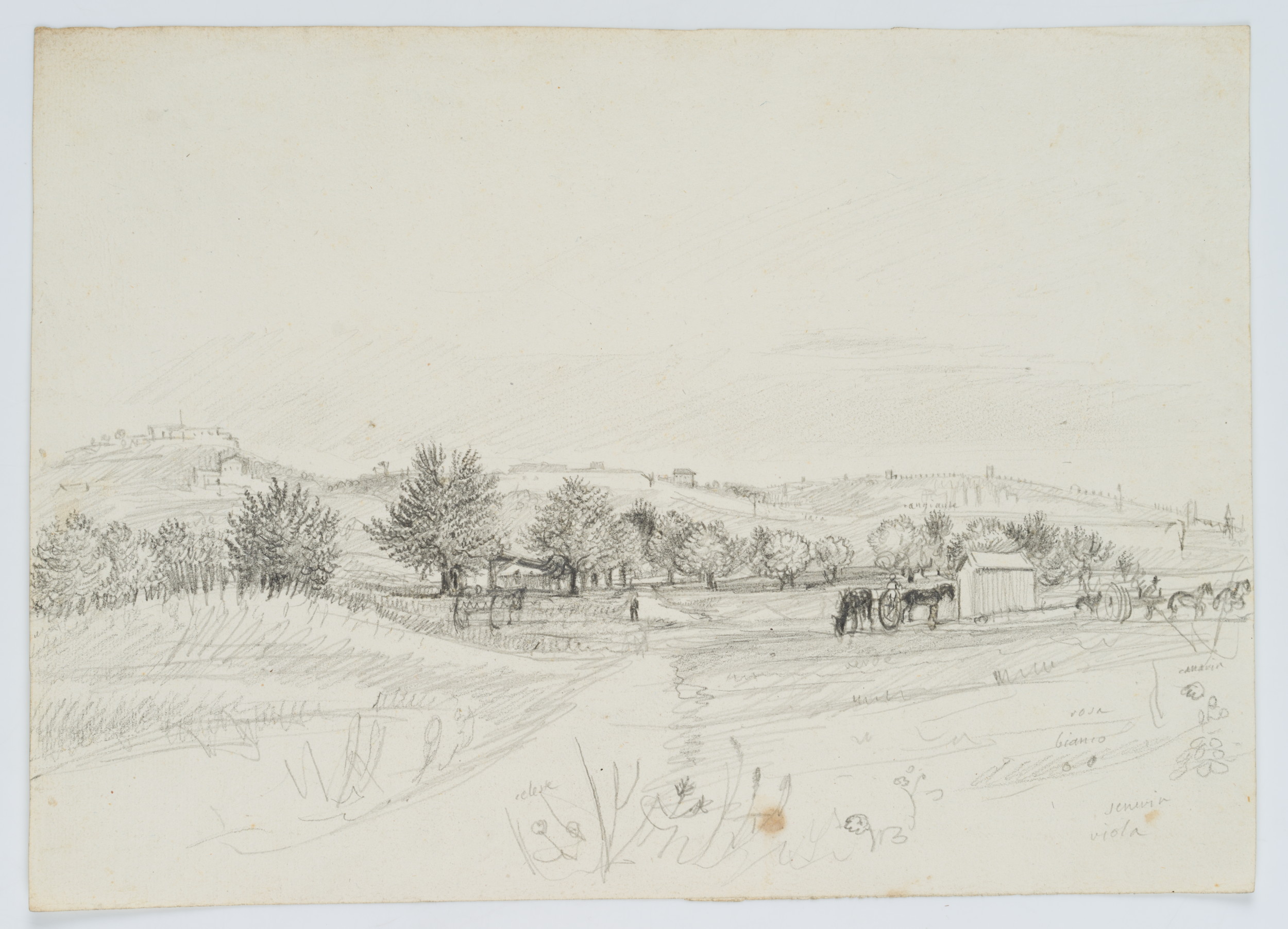 Landschaft mit Obstbäumen