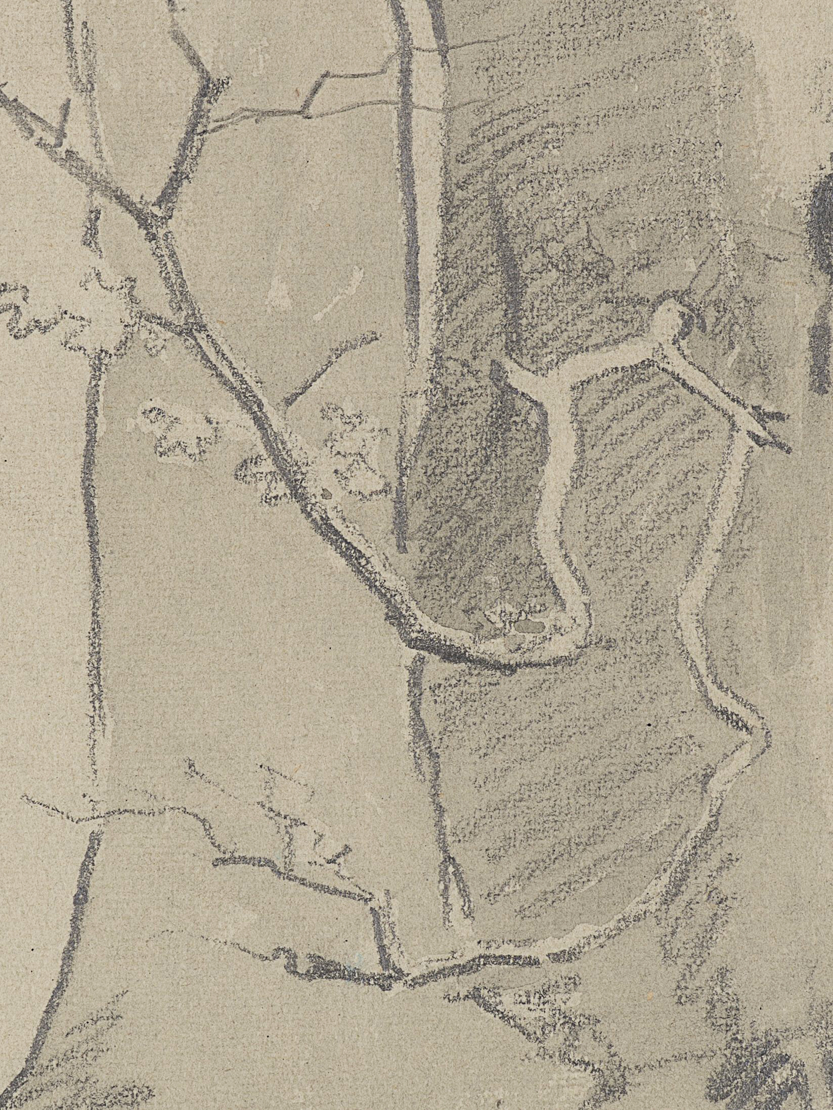 Studie zweier Baumstämme