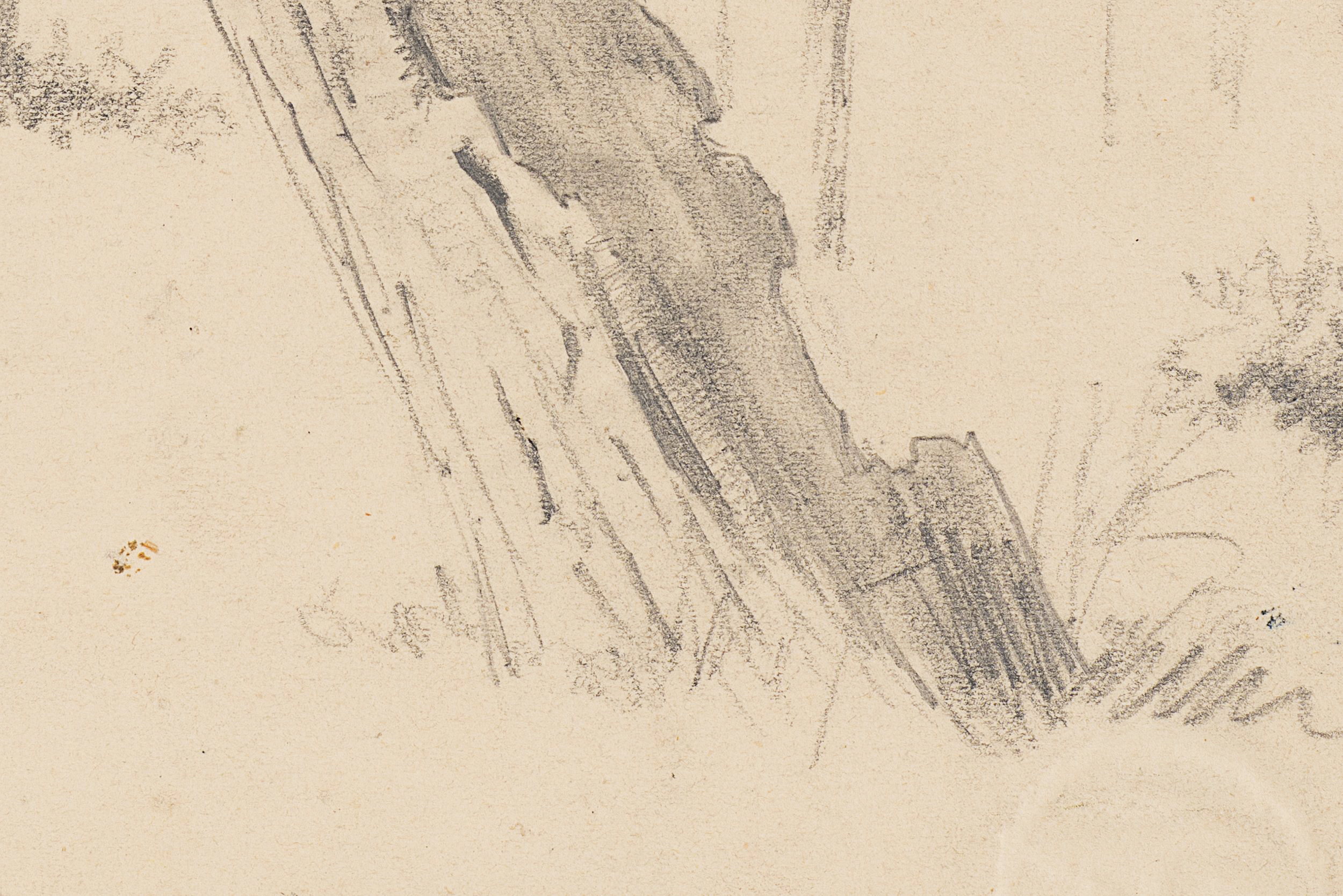 Studie eines alten Baumstammes